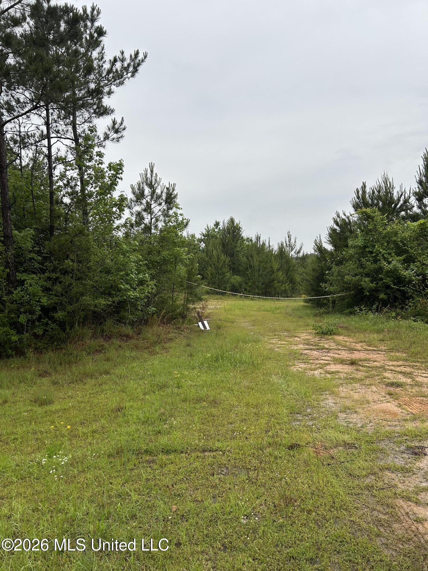 Ferguson Mill Road Property Photo 22