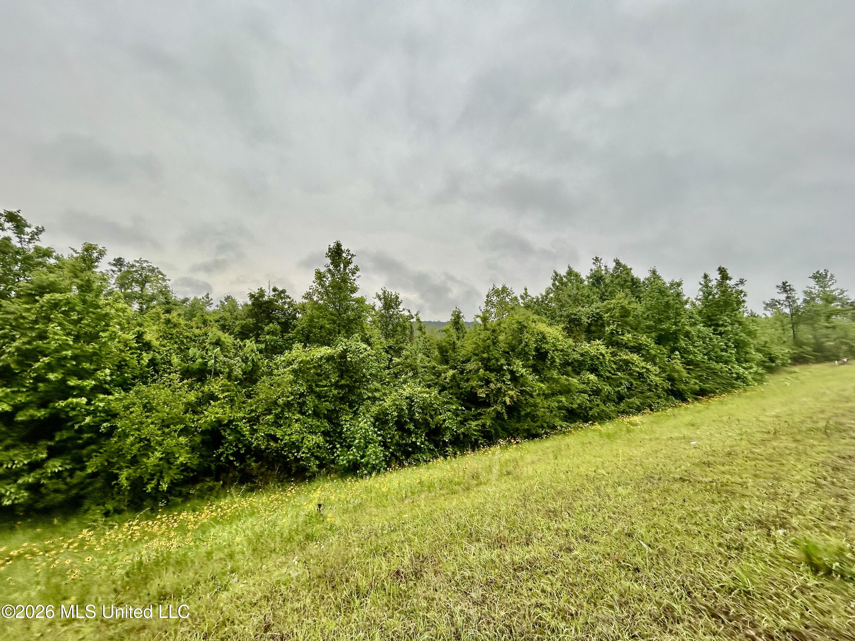 Ferguson Mill Road Property Photo 23