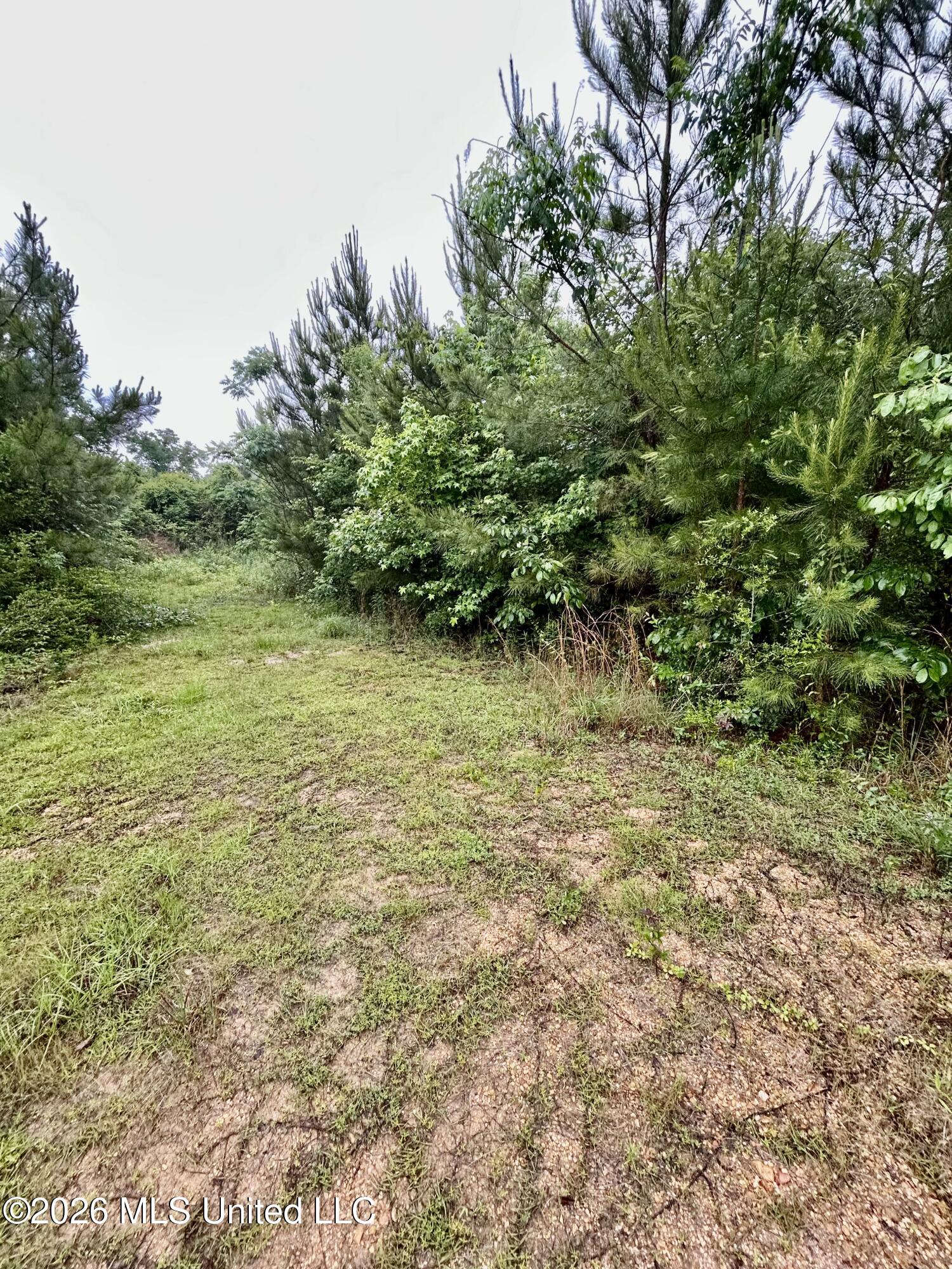 Ferguson Mill Road Property Photo 26