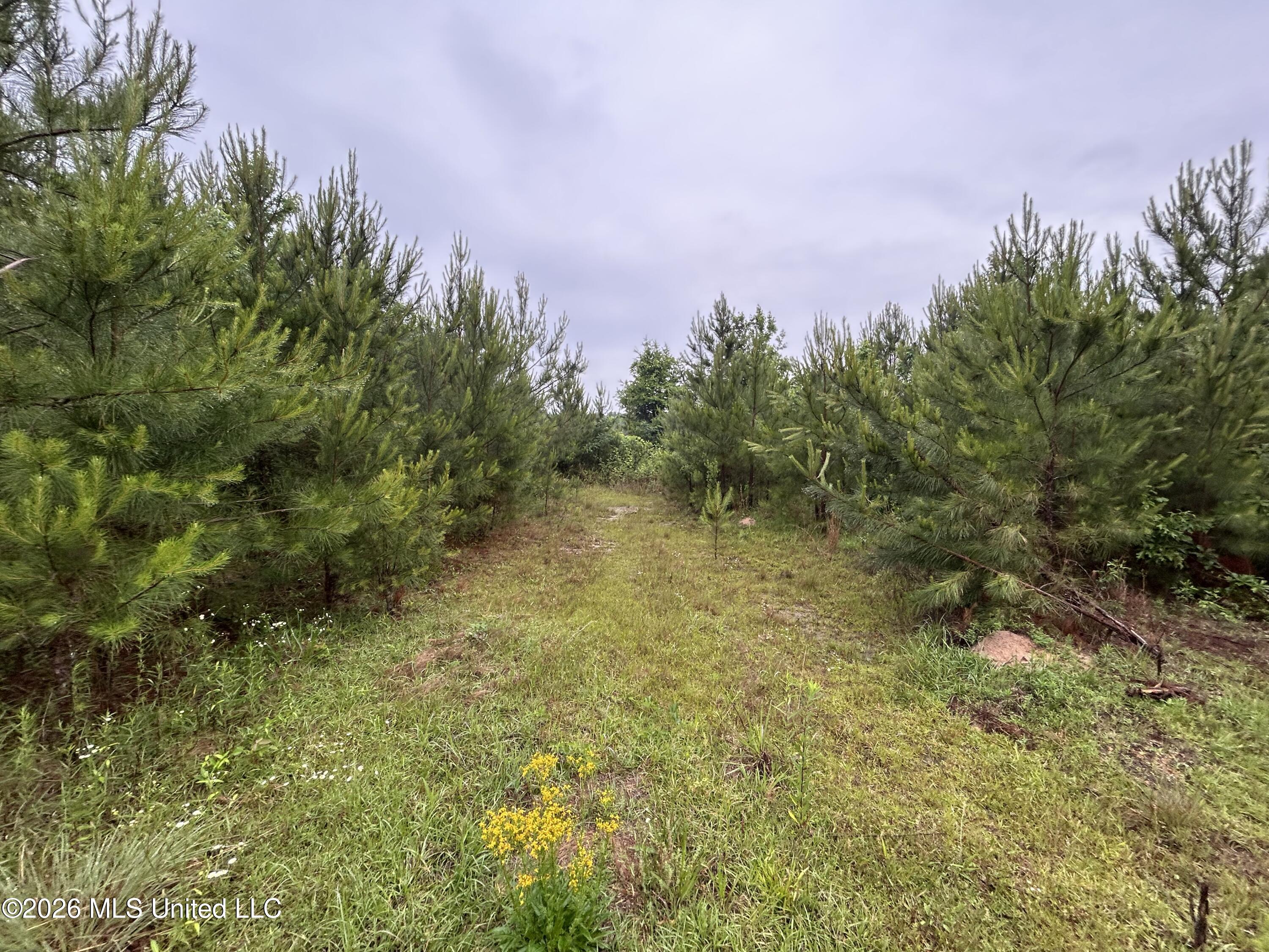 Ferguson Mill Road Property Photo 27