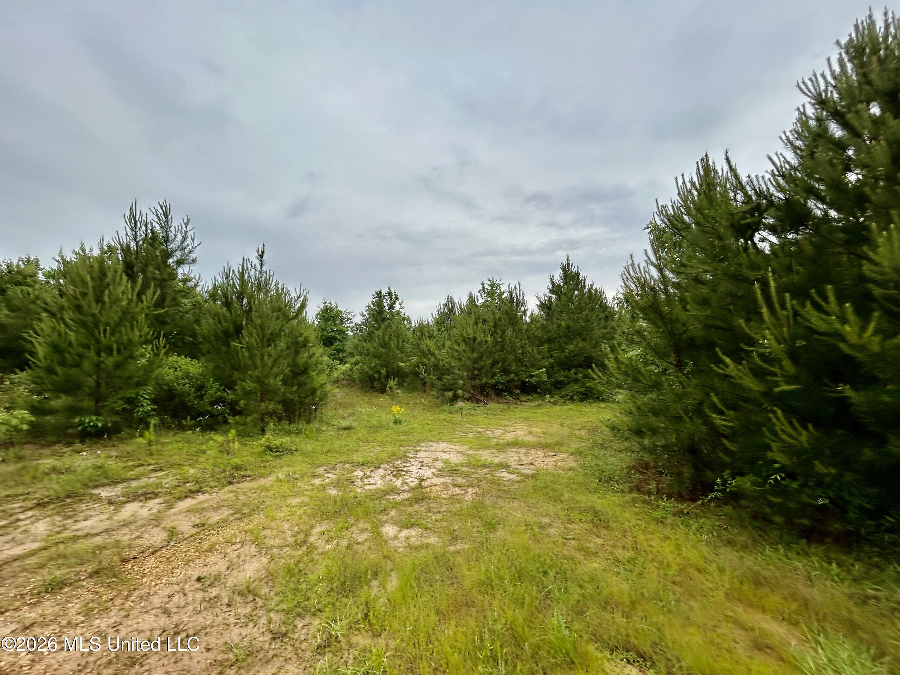 Ferguson Mill Road Property Photo 29