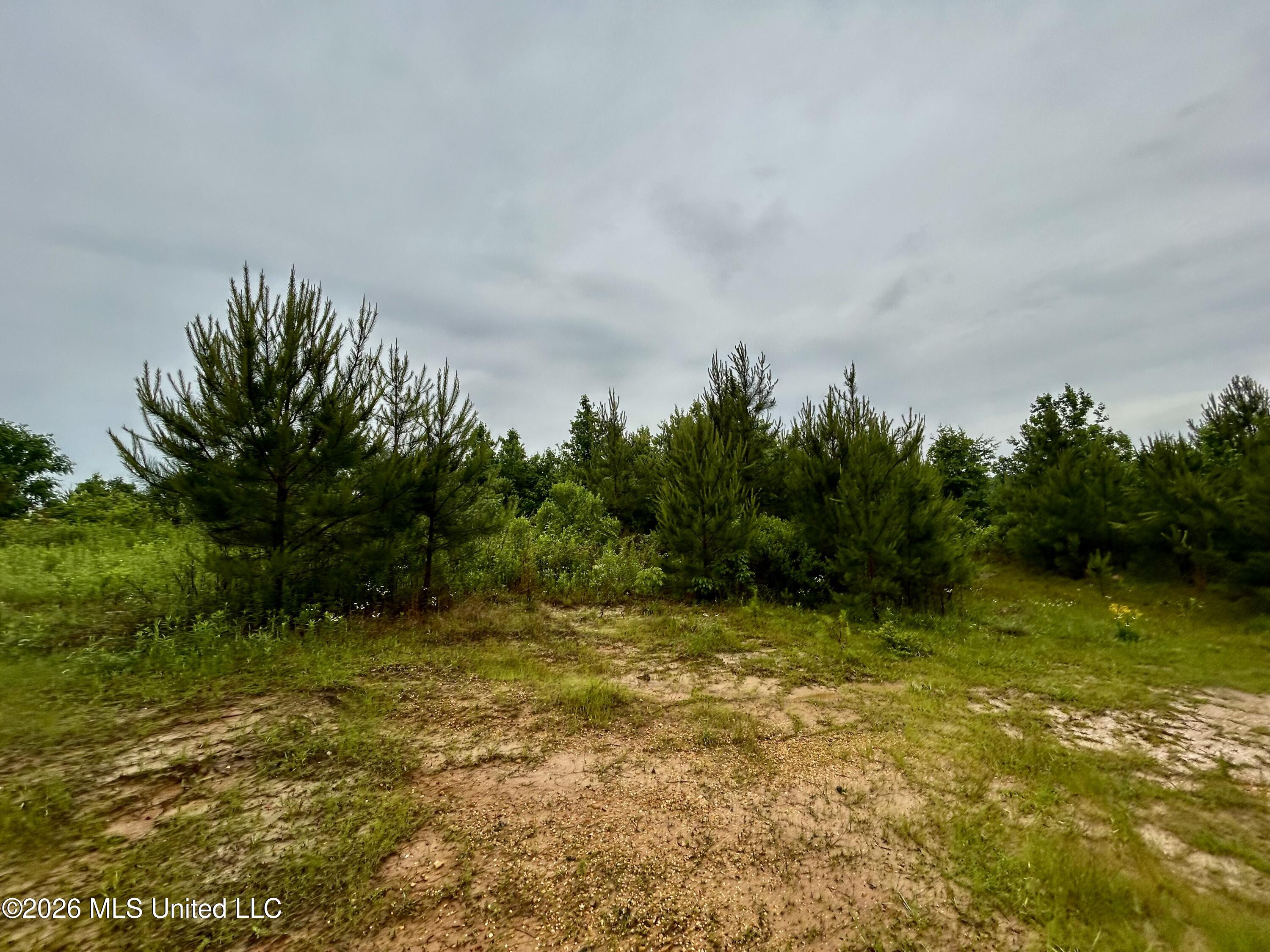 Ferguson Mill Road Property Photo 30