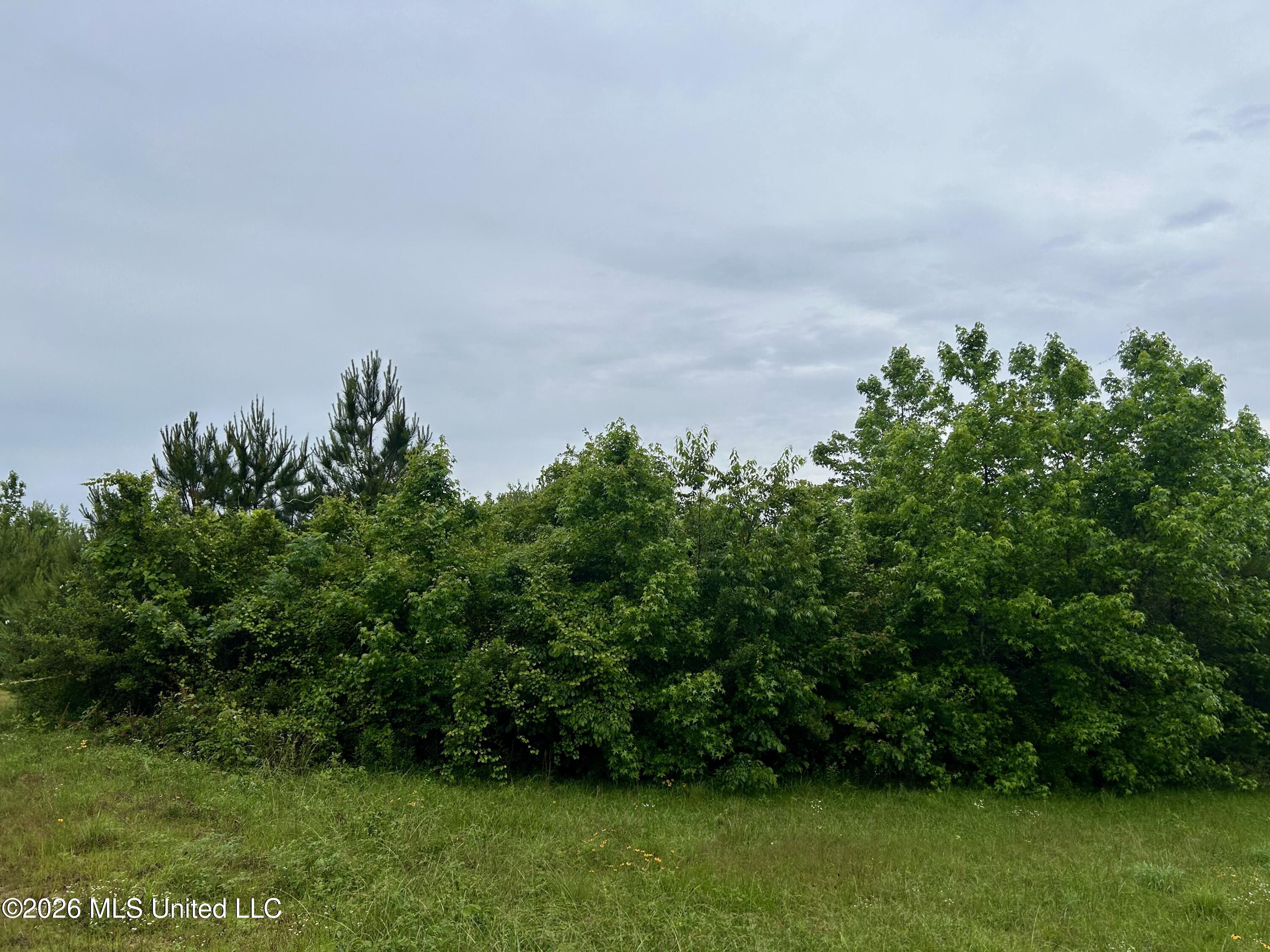 Ferguson Mill Road Property Photo 37