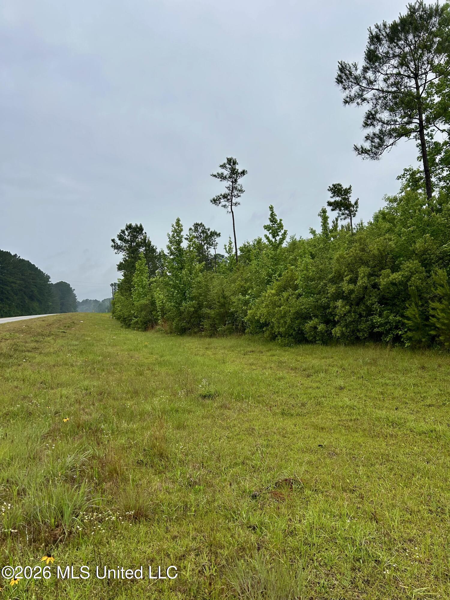 Ferguson Mill Road Property Photo 39