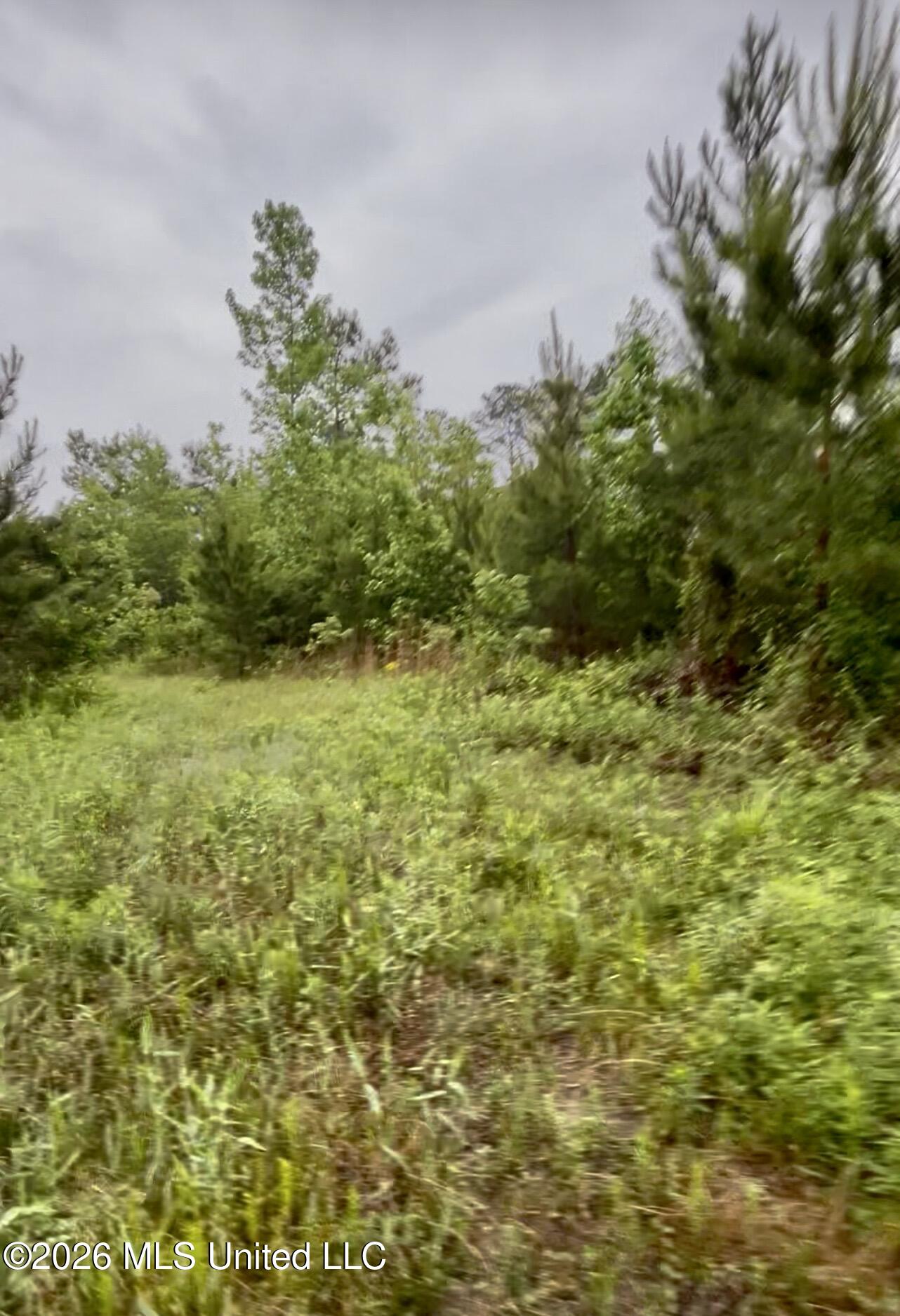 Ferguson Mill Road Property Photo 40