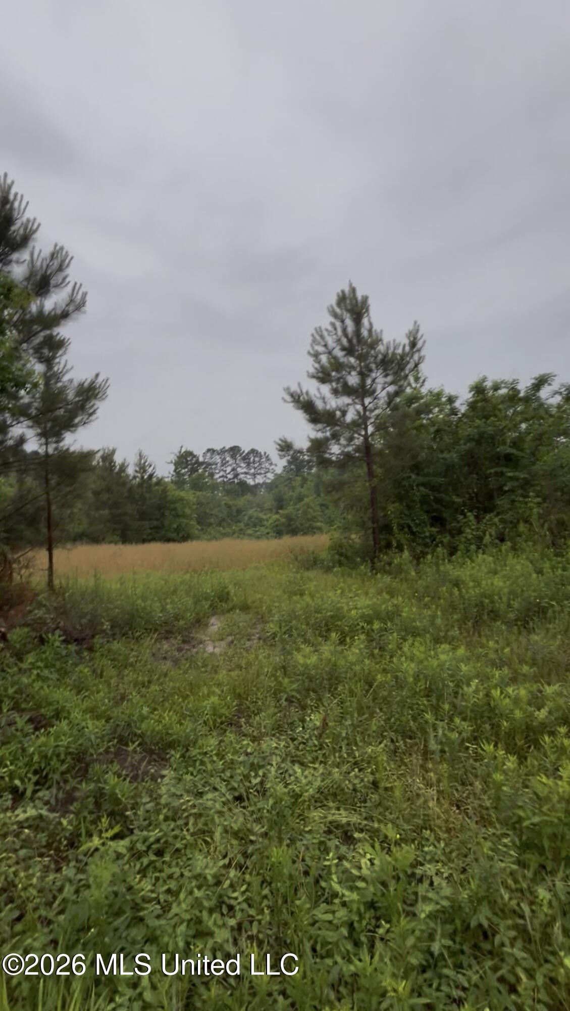 Ferguson Mill Road Property Photo 44