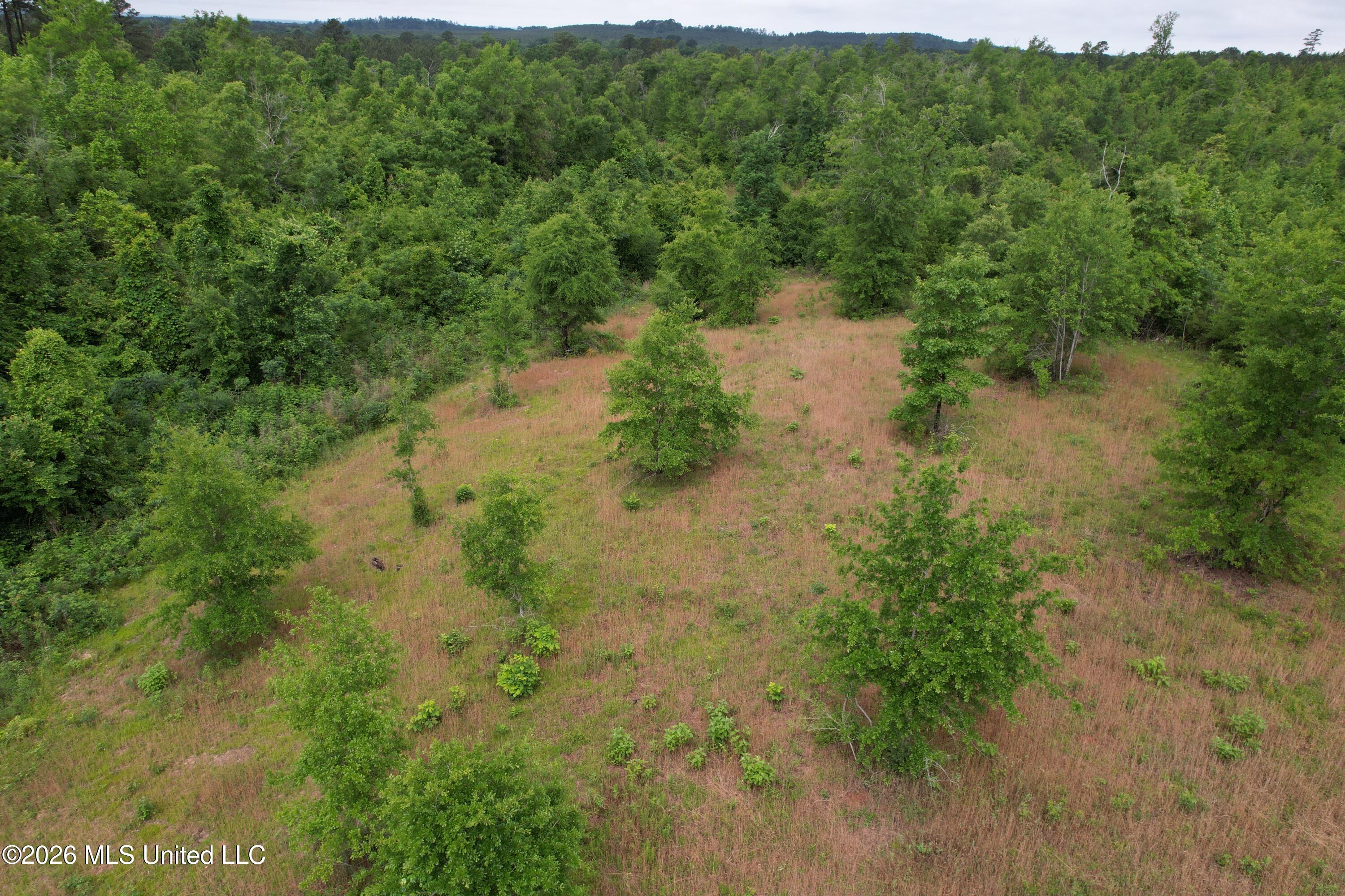 Ferguson Mill Road Property Photo 52