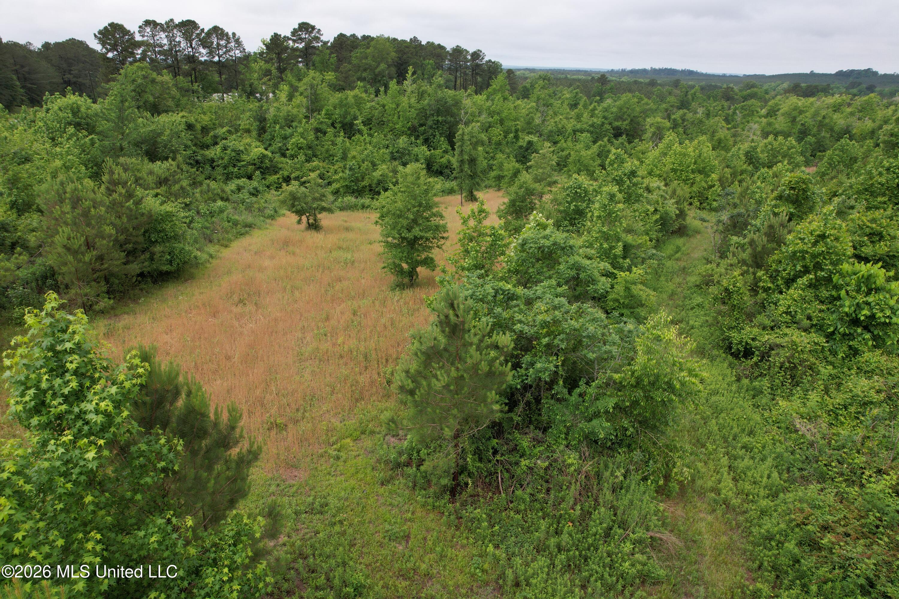 Ferguson Mill Road Property Photo 53