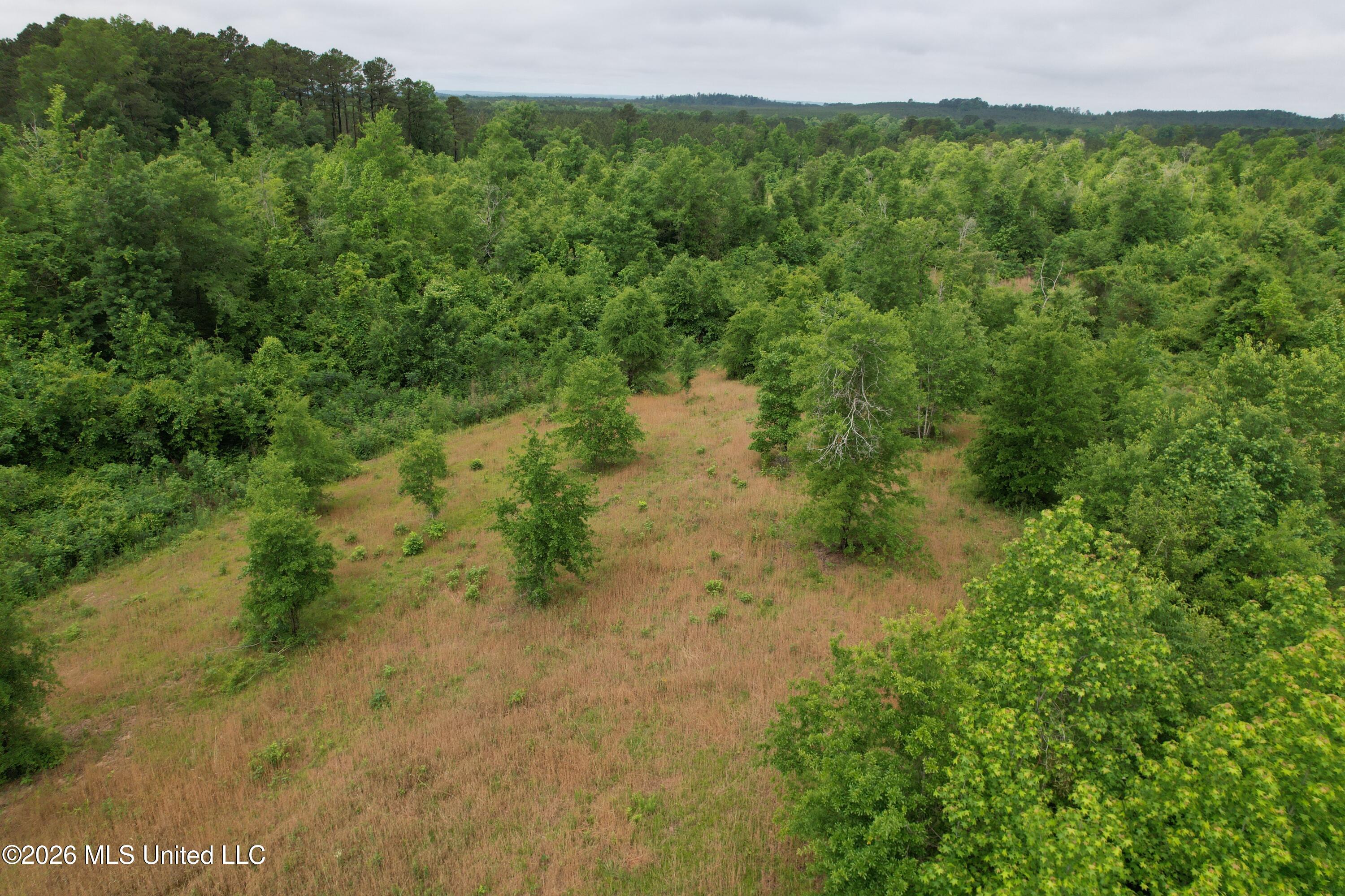 Ferguson Mill Road Property Photo 54