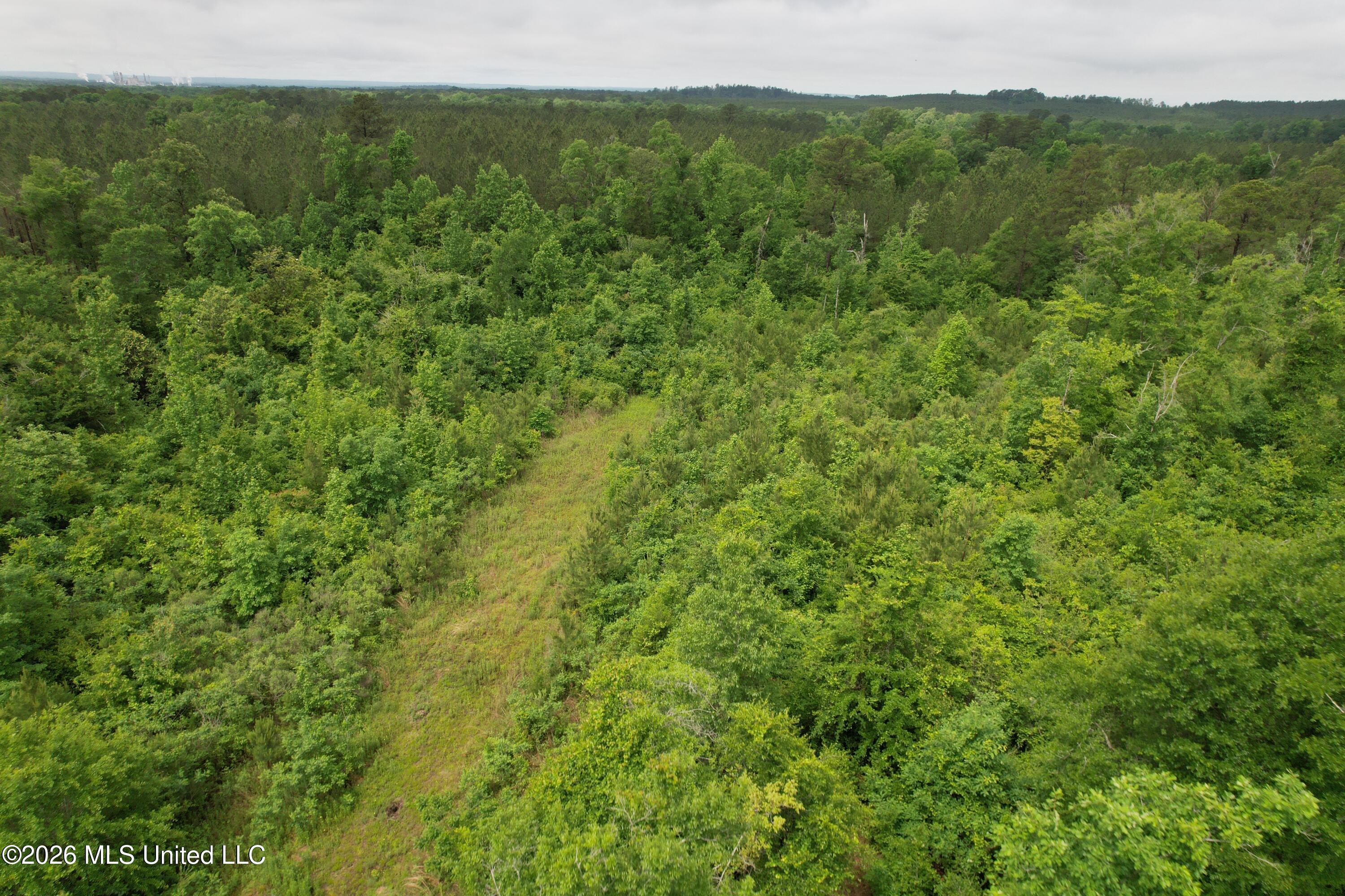 Ferguson Mill Road Property Photo 55