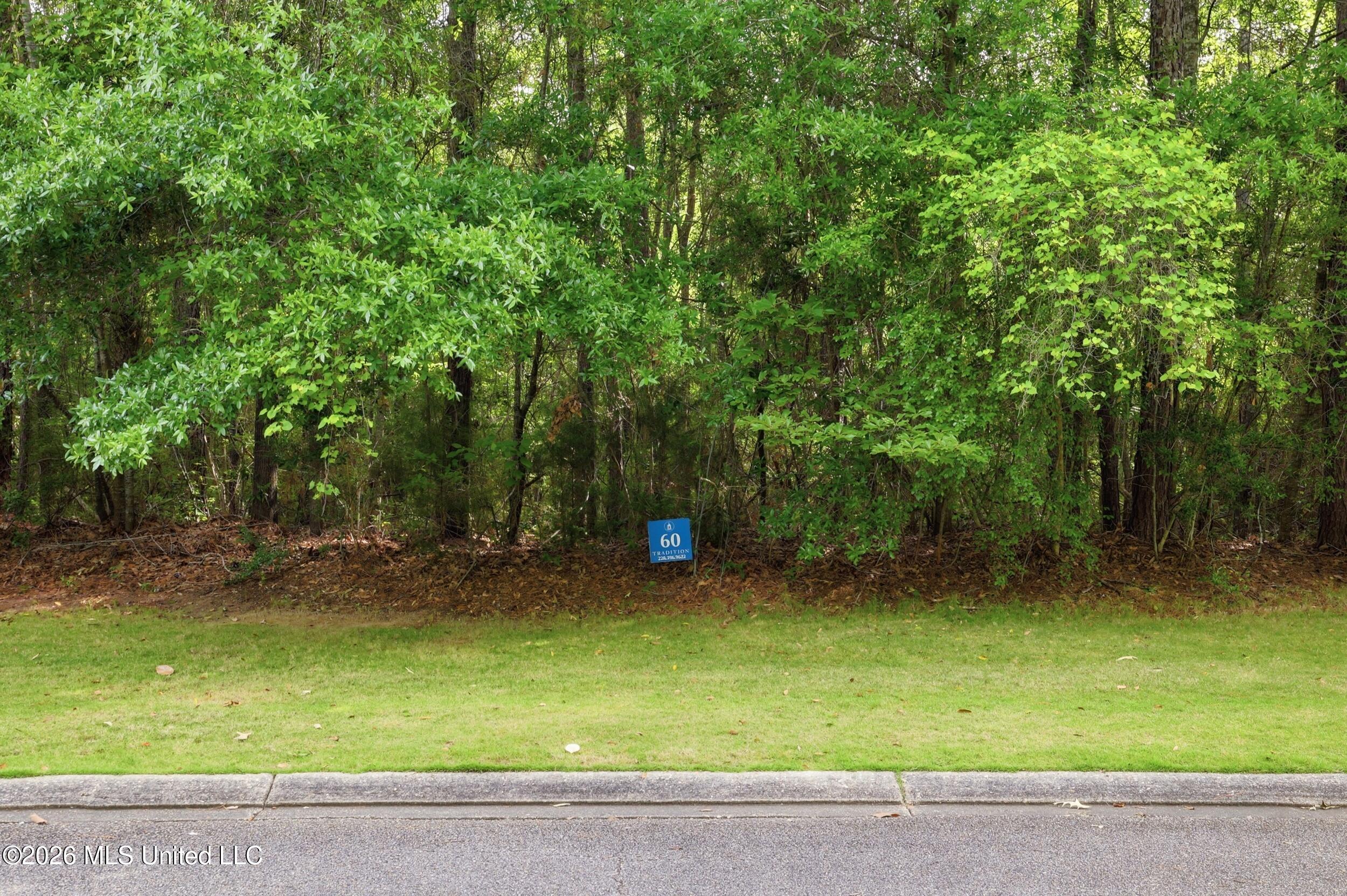 Lot 60 Middleton Place Property Photo 4