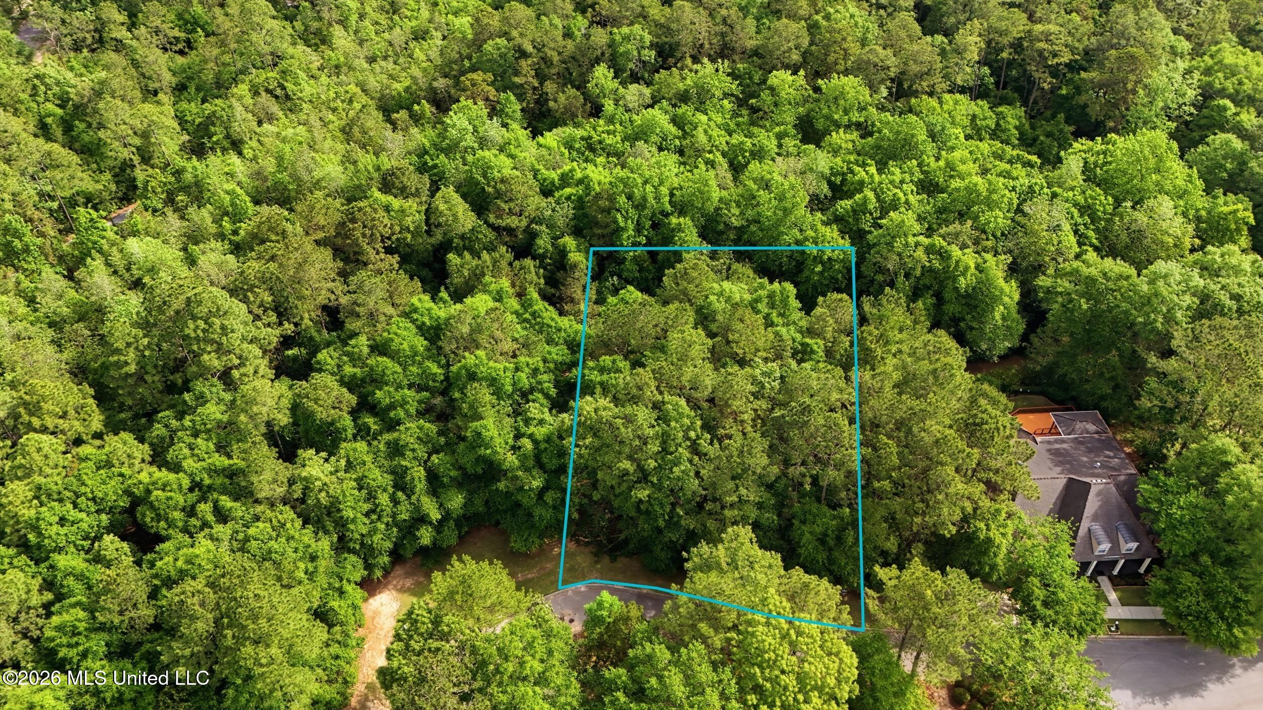 Lot 60 Middleton Place Property Photo 5