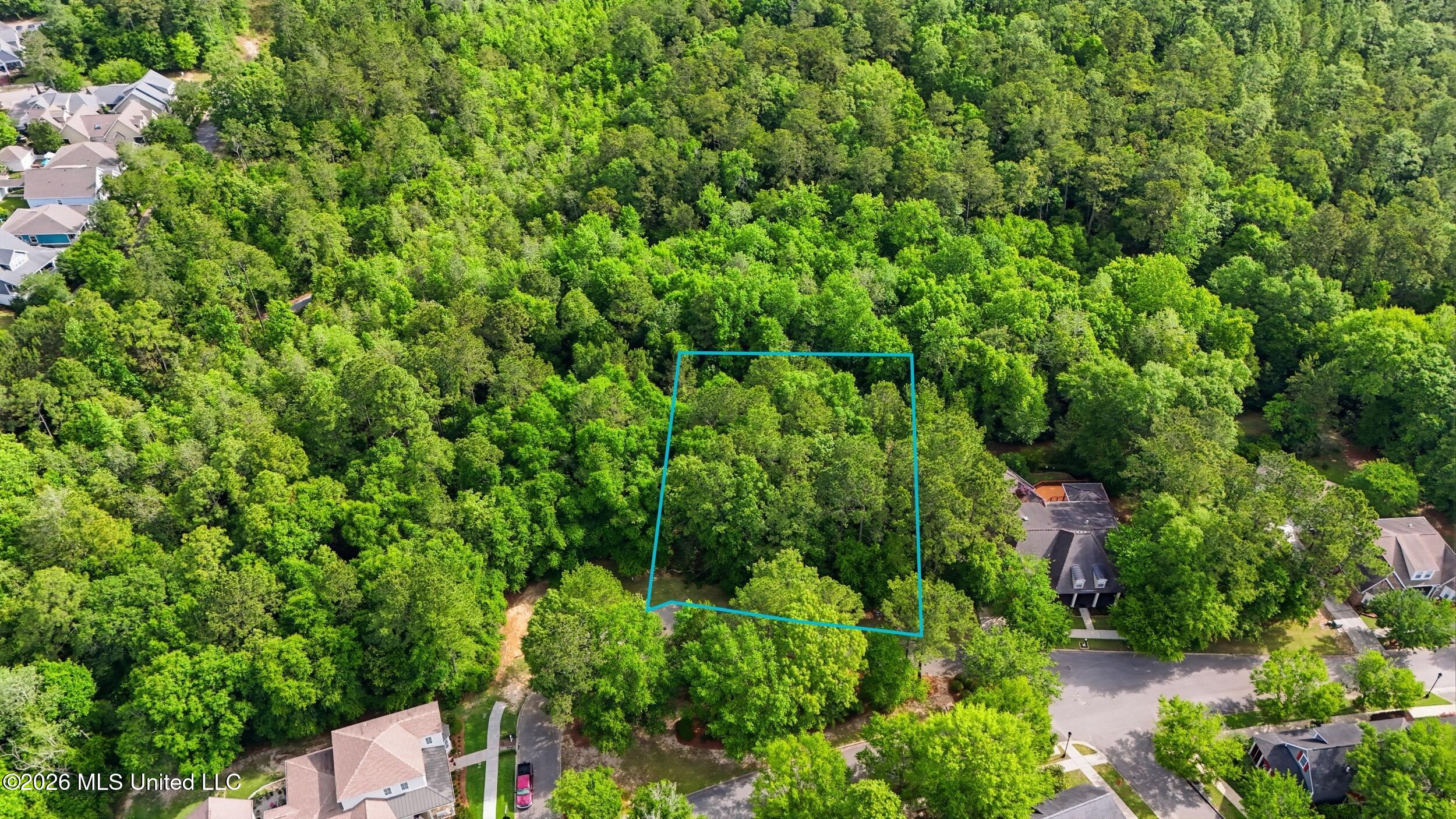 Lot 60 Middleton Place Property Photo 6