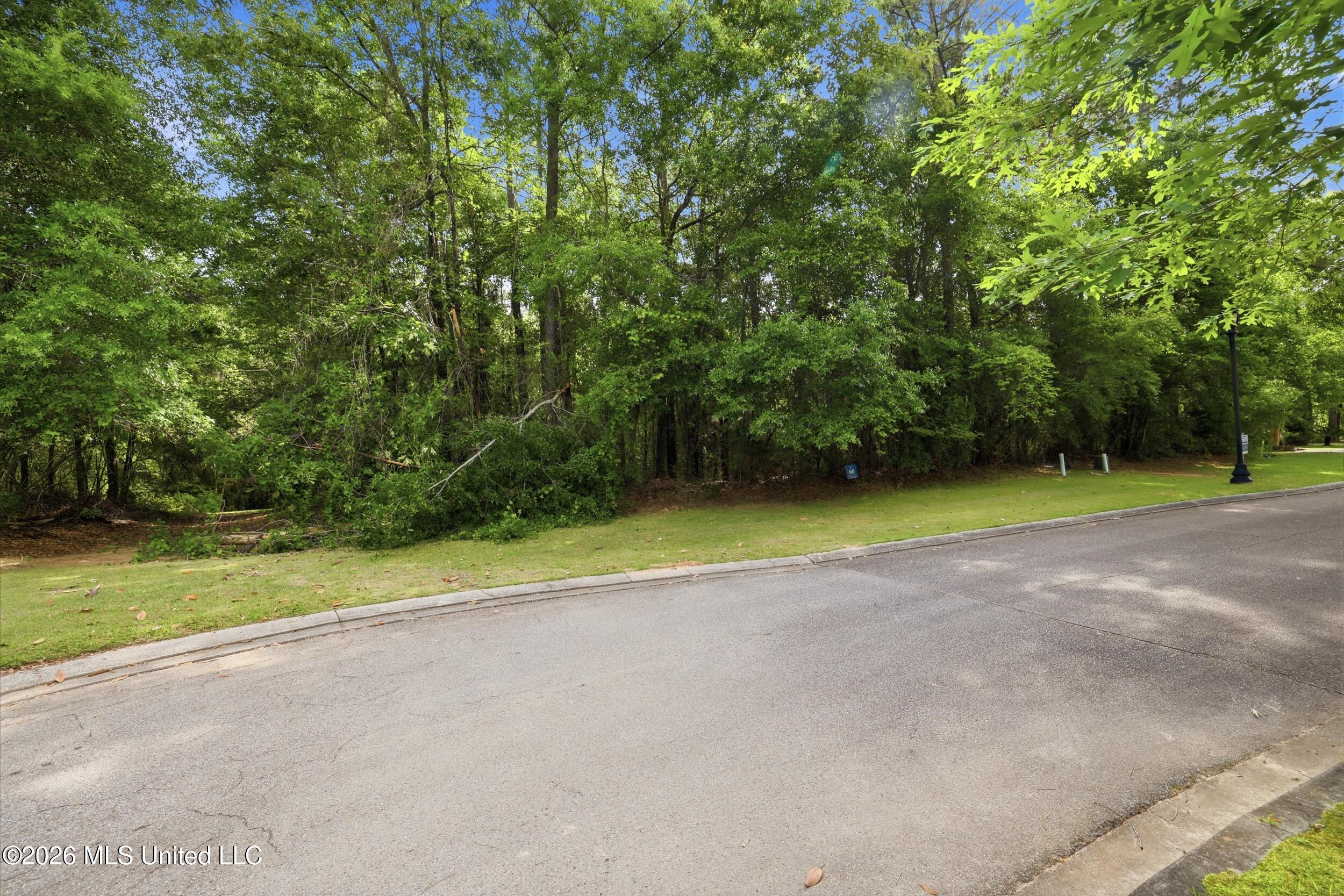 Lot 60 Middleton Place Property Photo 19