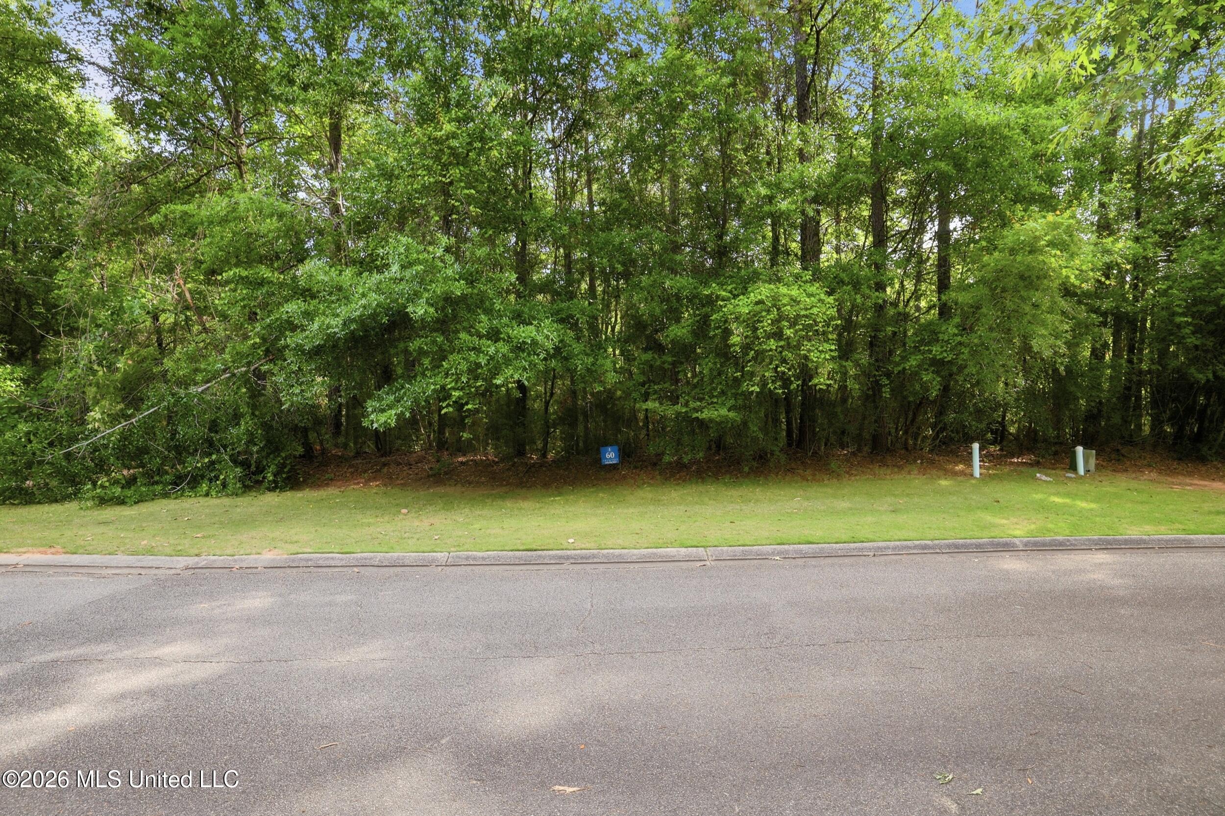Lot 60 Middleton Place Property Photo 20