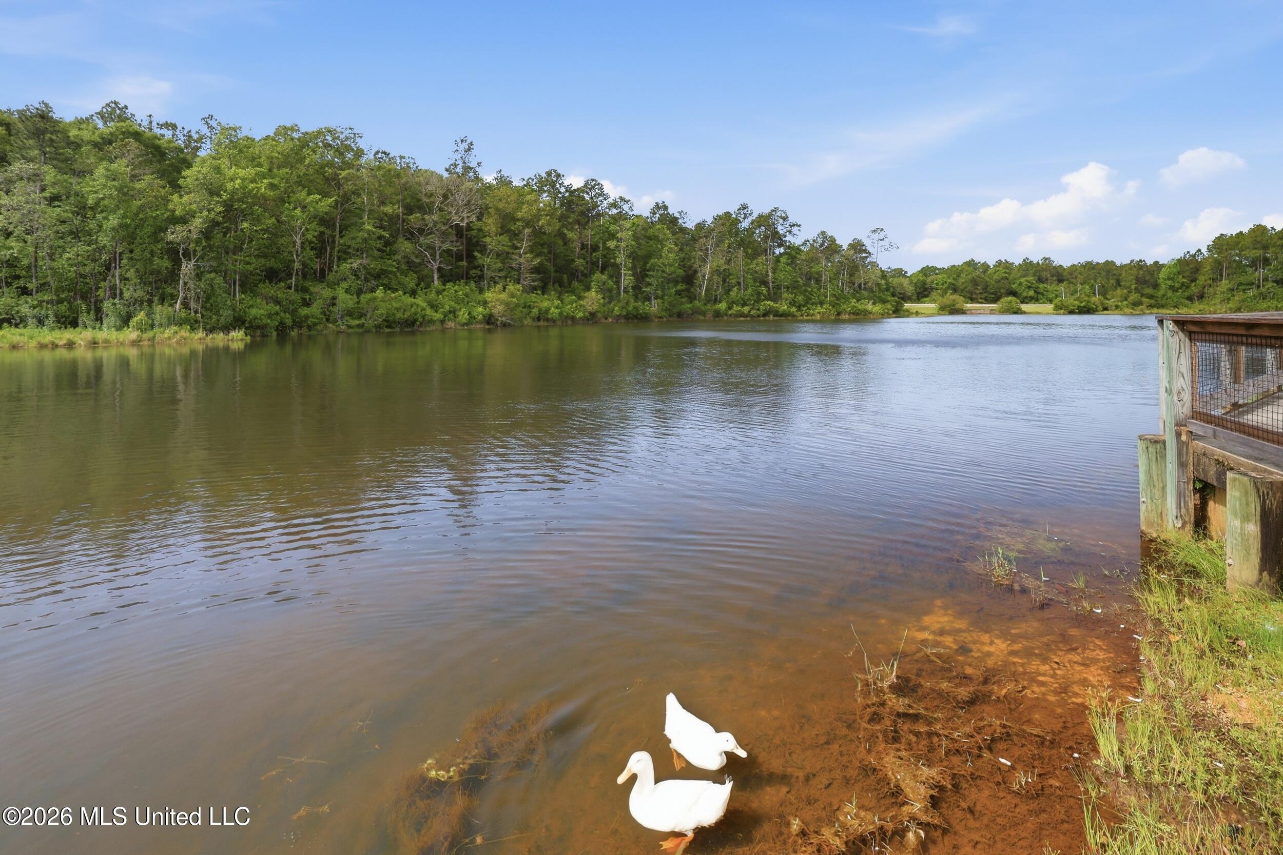 Lot 60 Middleton Place Property Photo 22