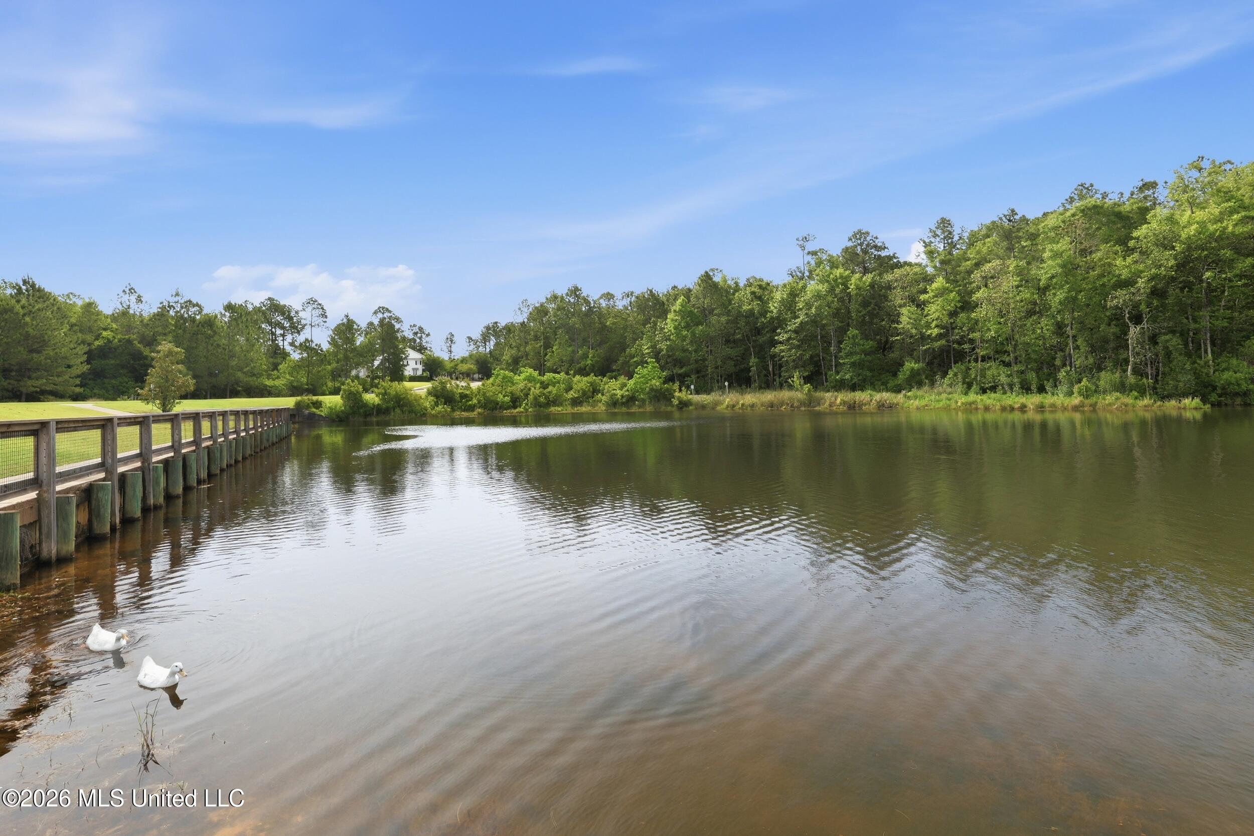 Lot 60 Middleton Place Property Photo 23