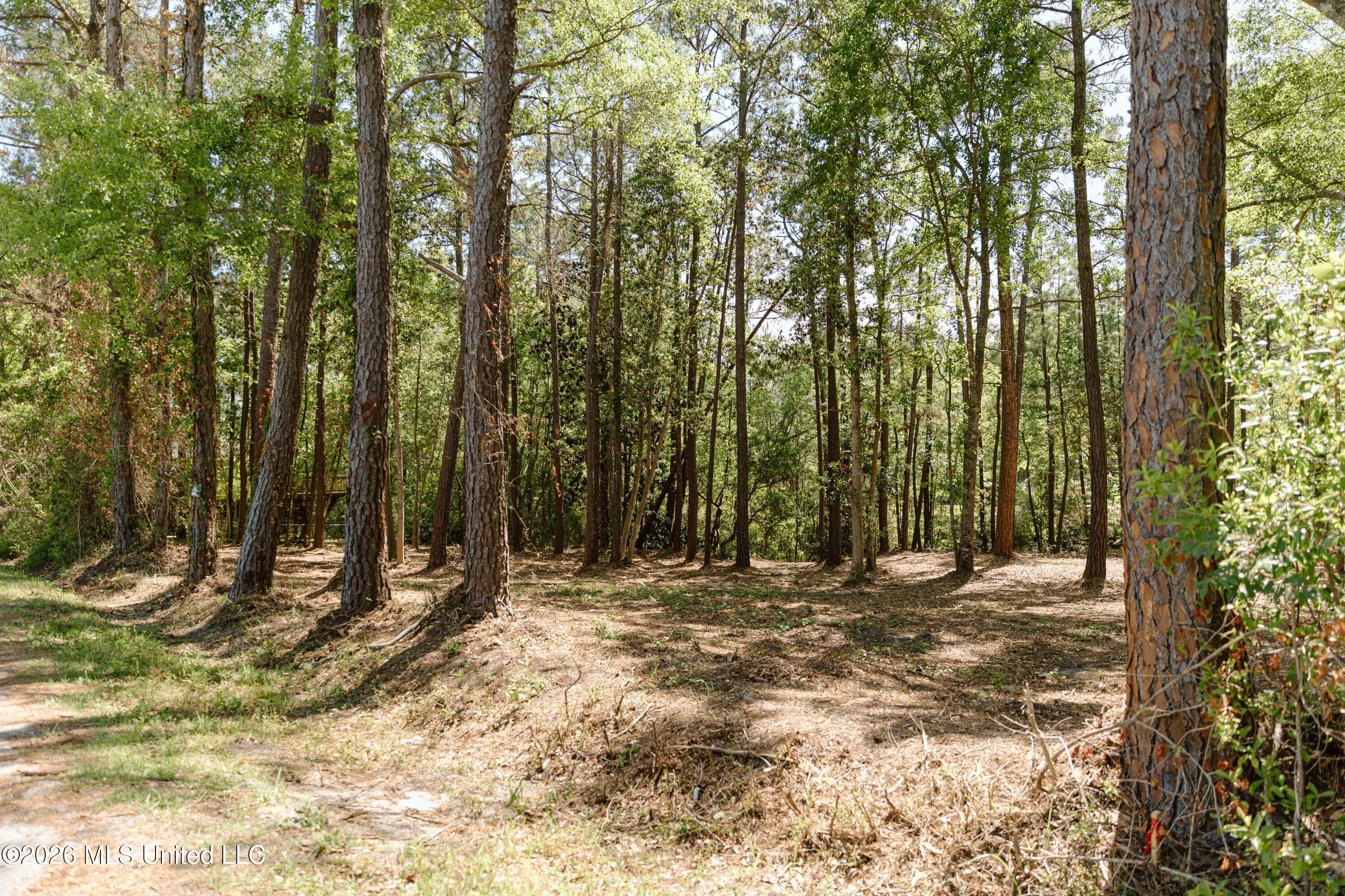 Honduras Drive Property Photo 1