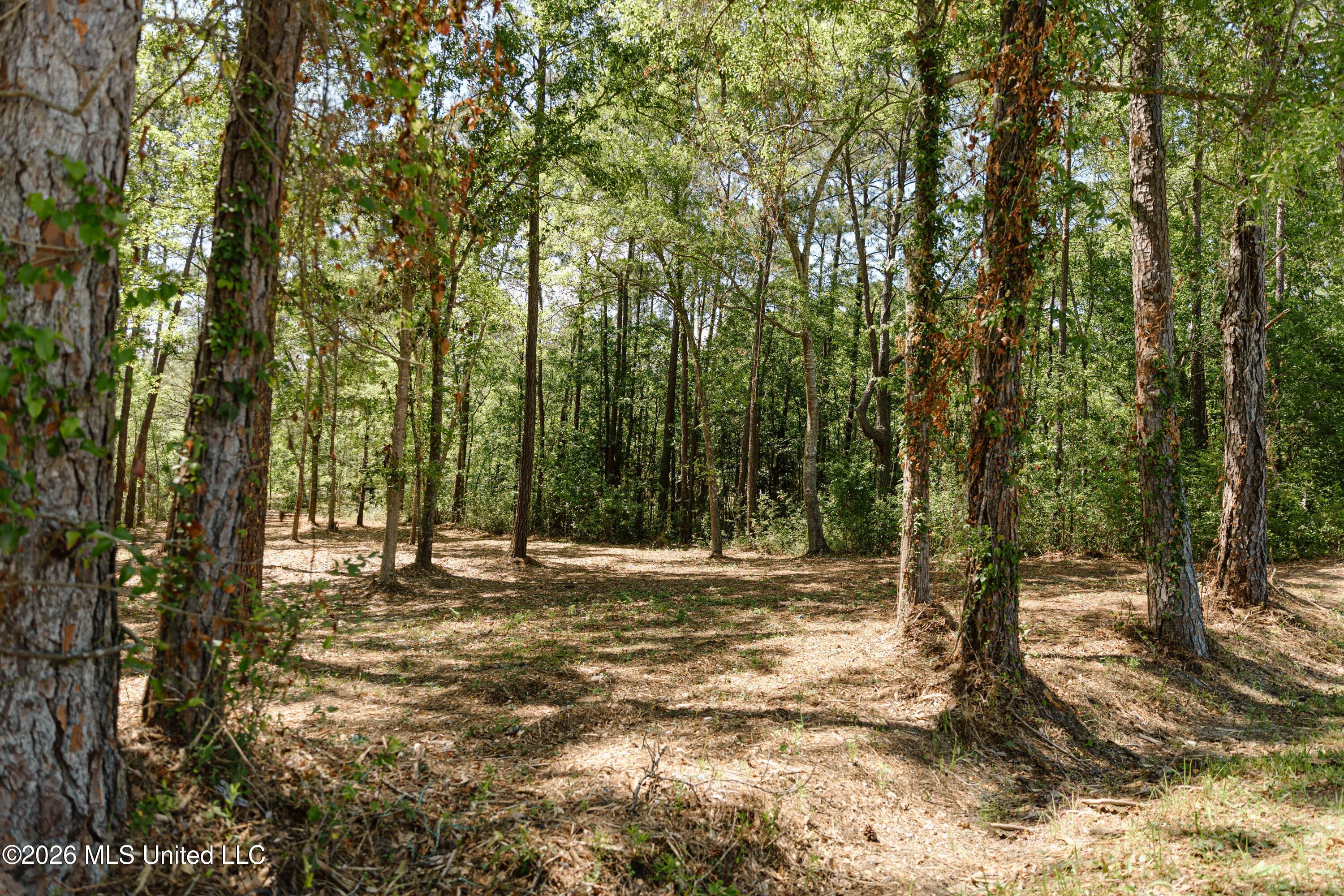 Honduras Drive Property Photo 2