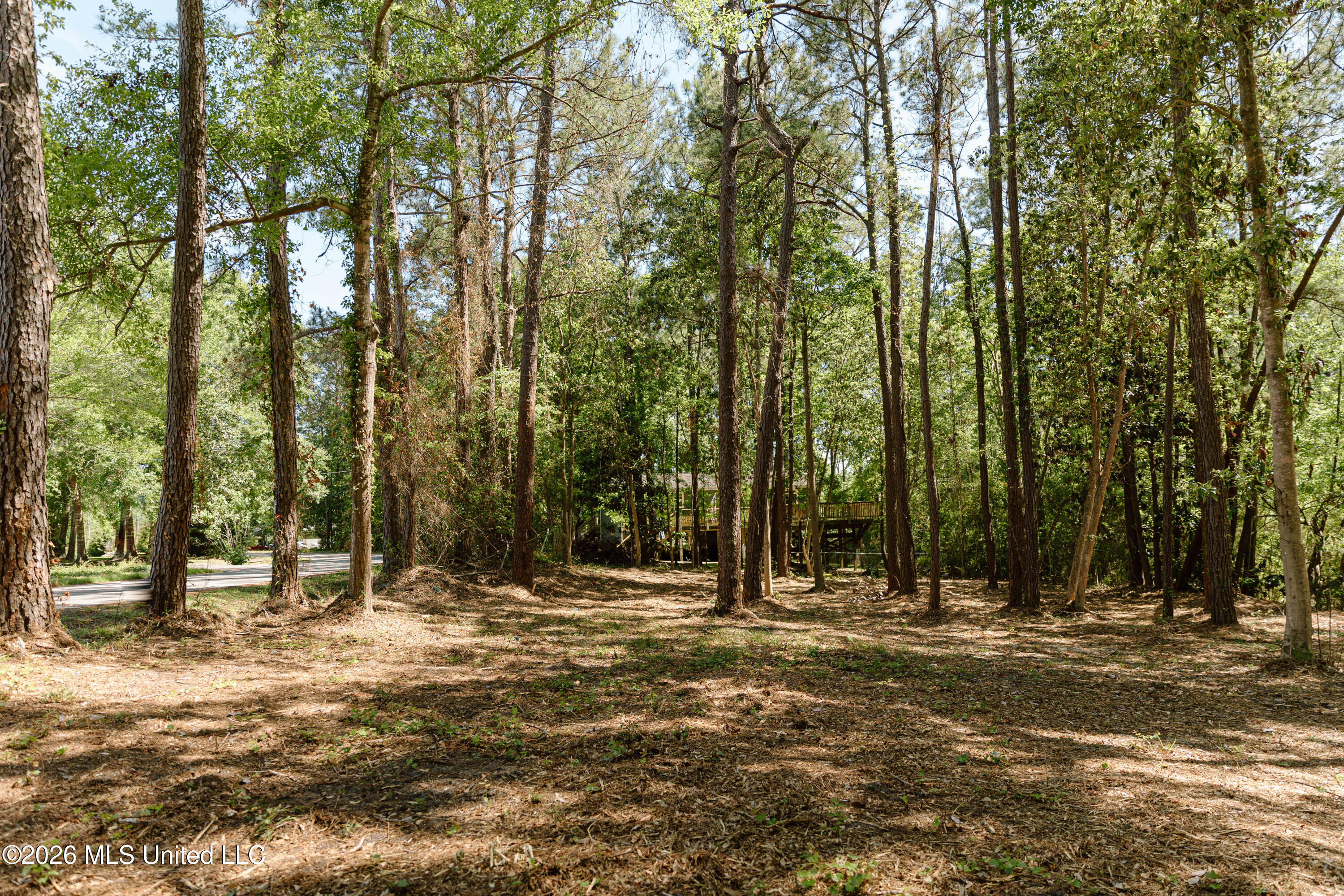 Honduras Drive Property Photo 3