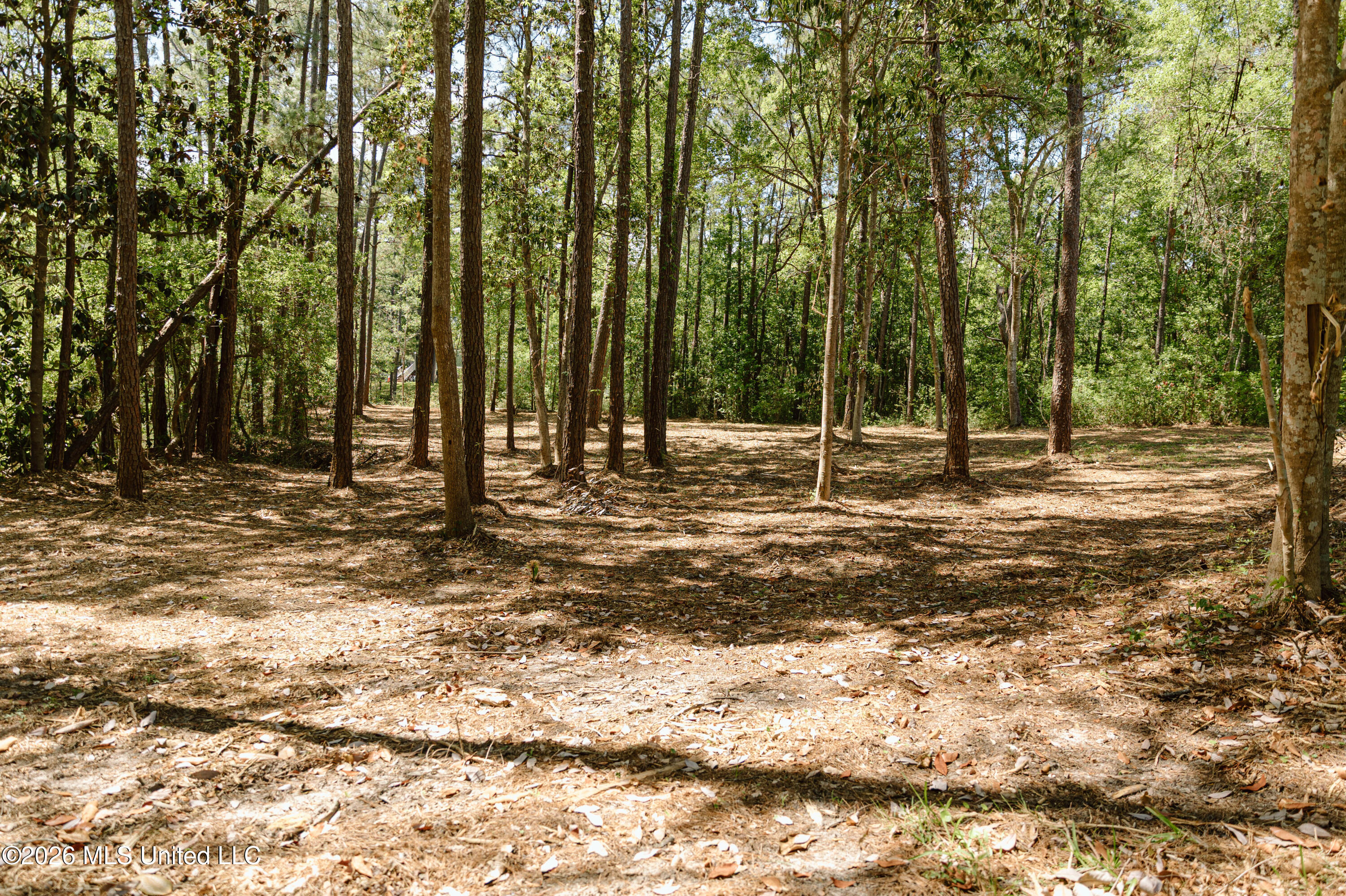 Honduras Drive Property Photo 6