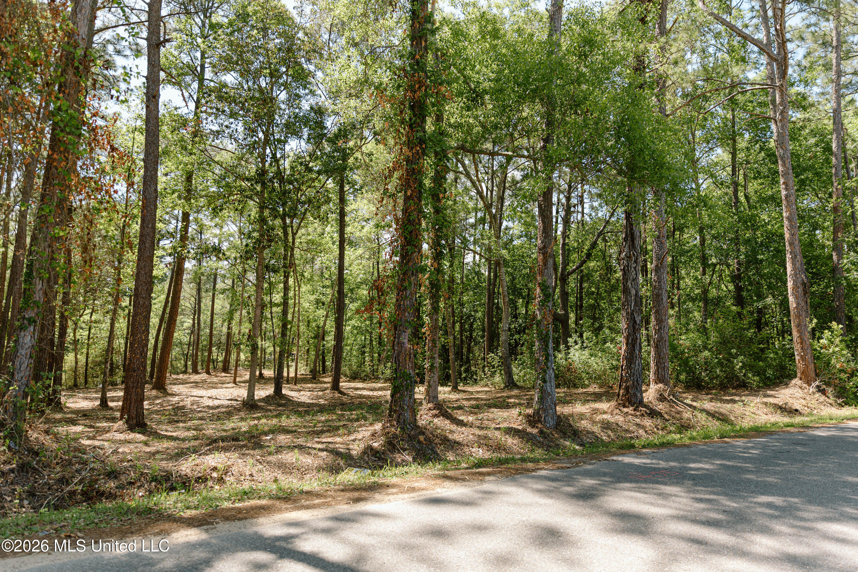 Honduras Drive Property Photo 8