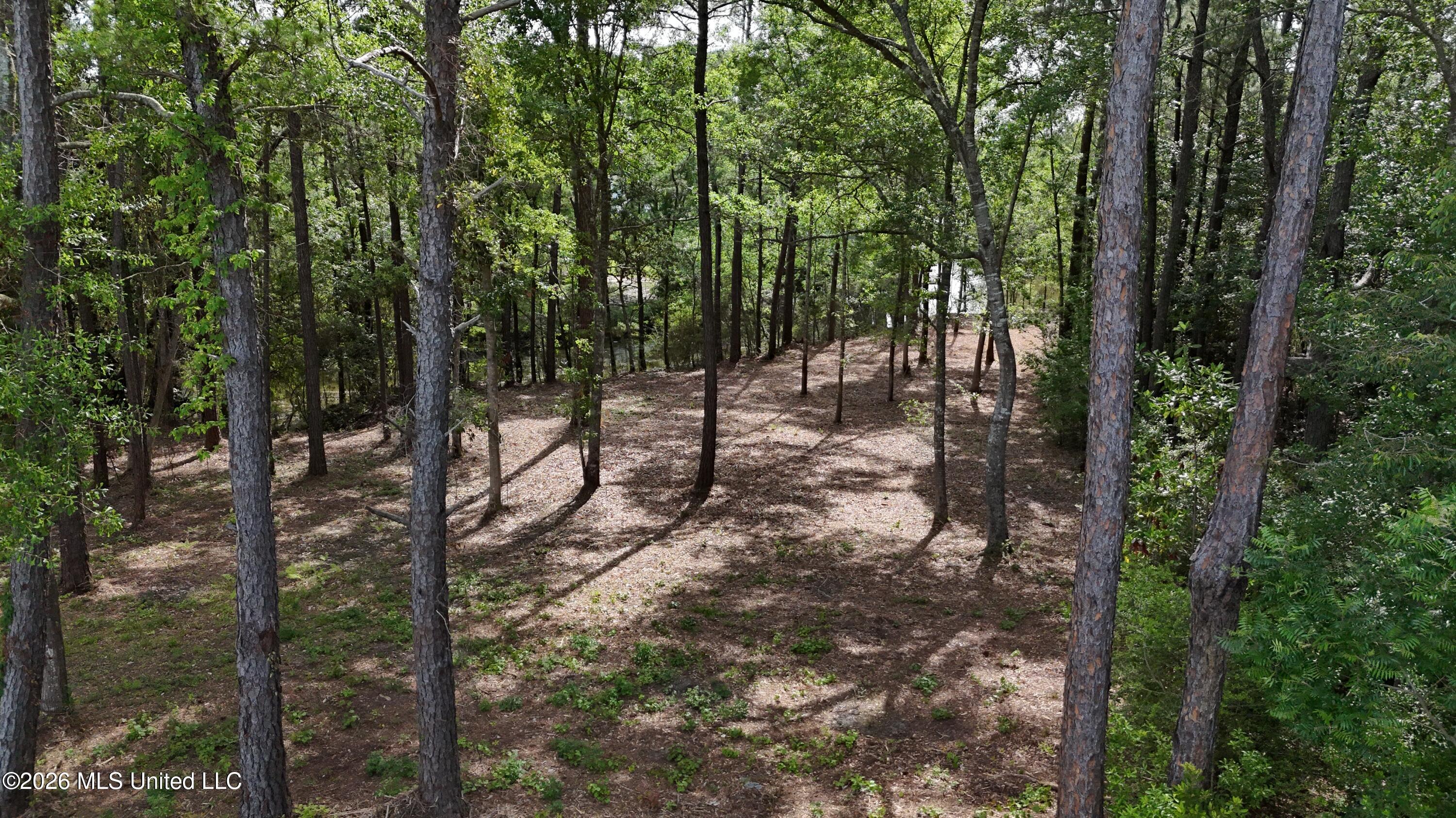 Honduras Drive Property Photo 11