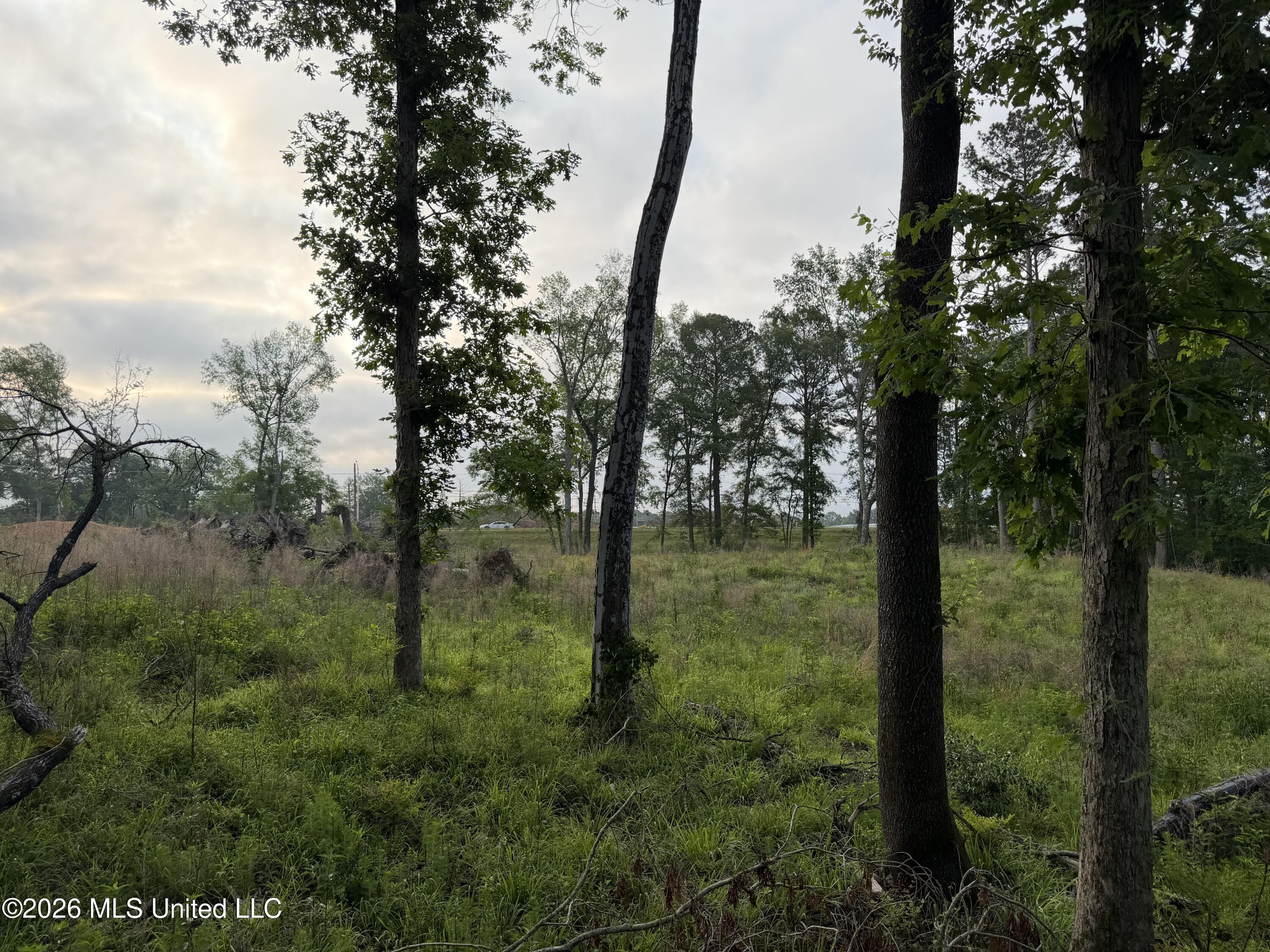974 U.s. 51 Property Photo 6