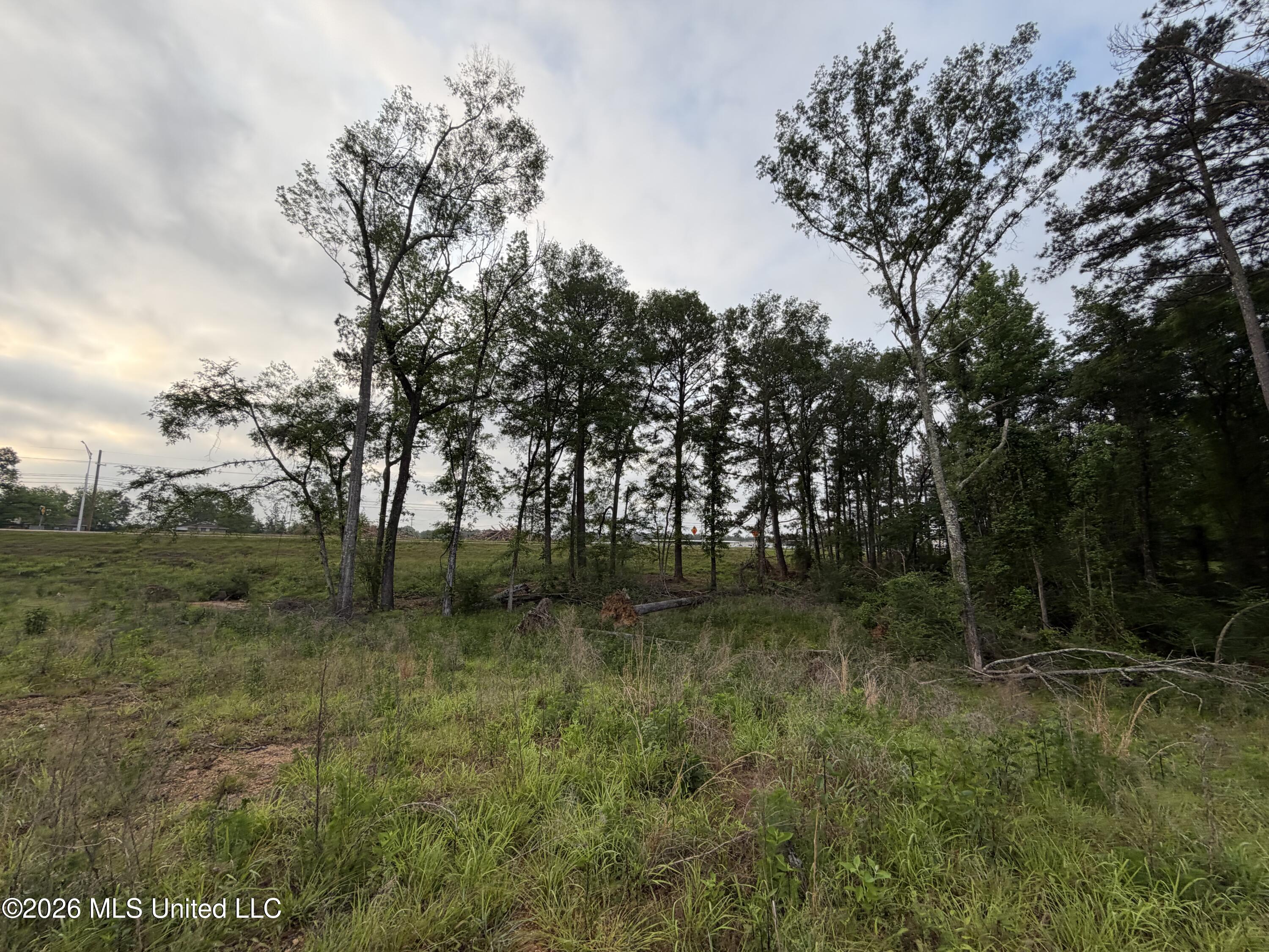 974 U.s. 51 Property Photo 10