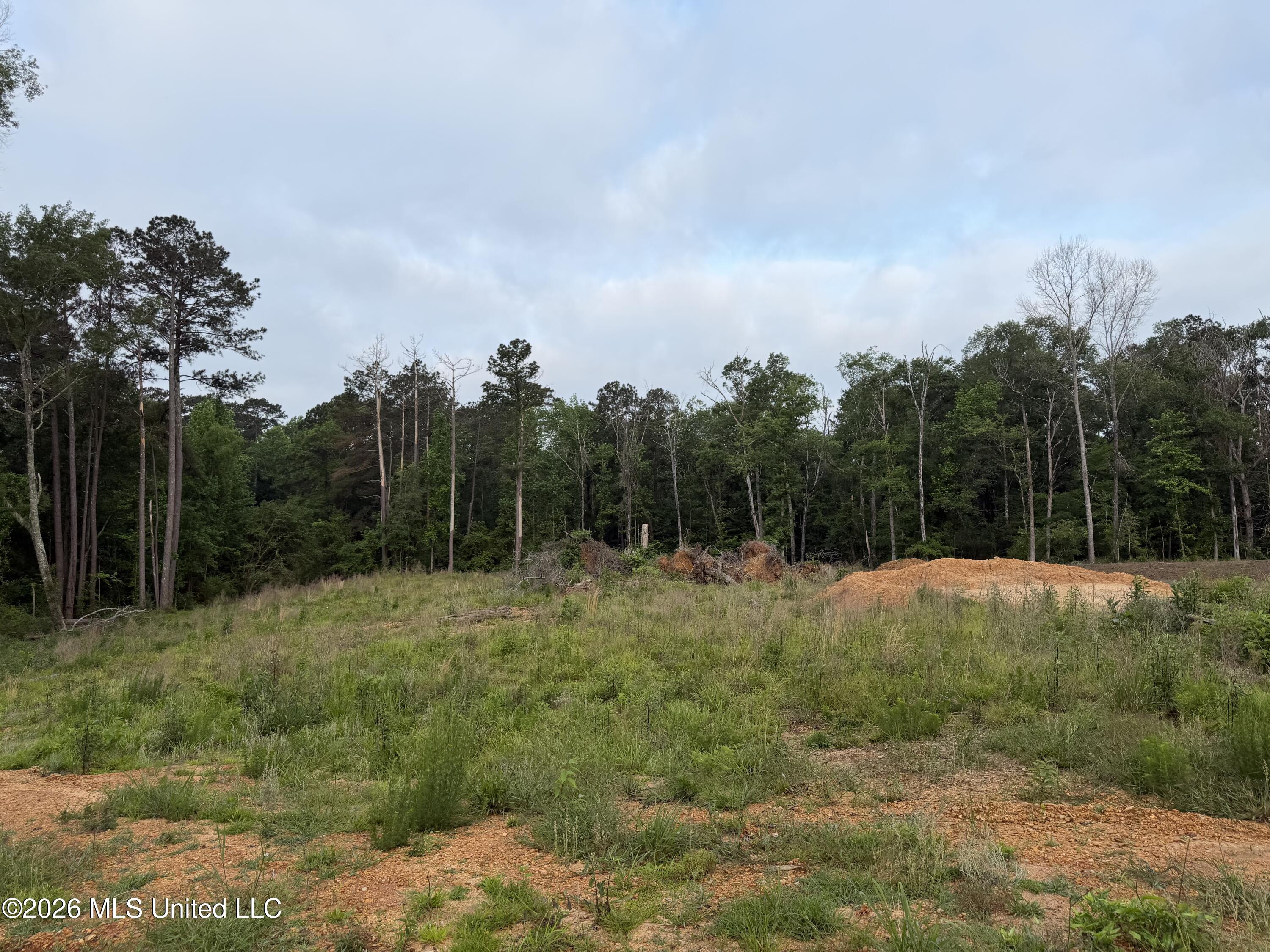 974 U.s. 51 Property Photo 12