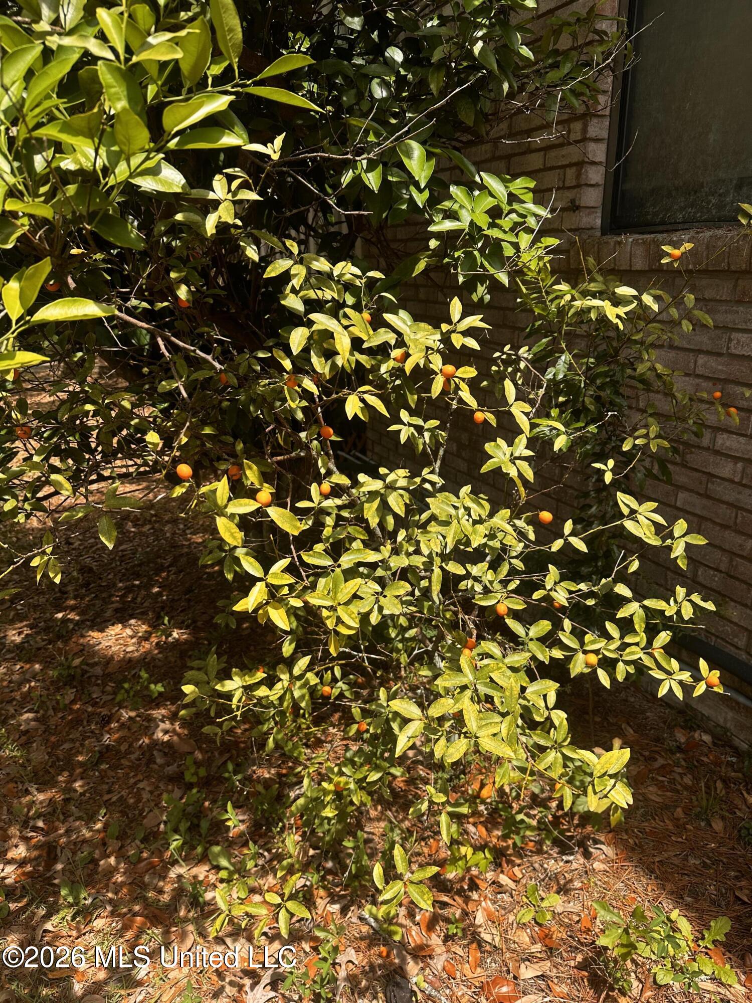 5116 Ceres Farm Property Photo 31