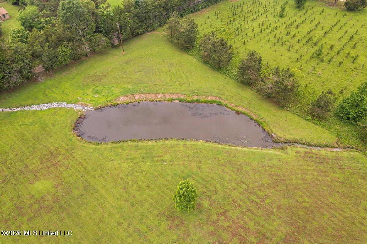 136 Mccullough Lane Property Photo 63