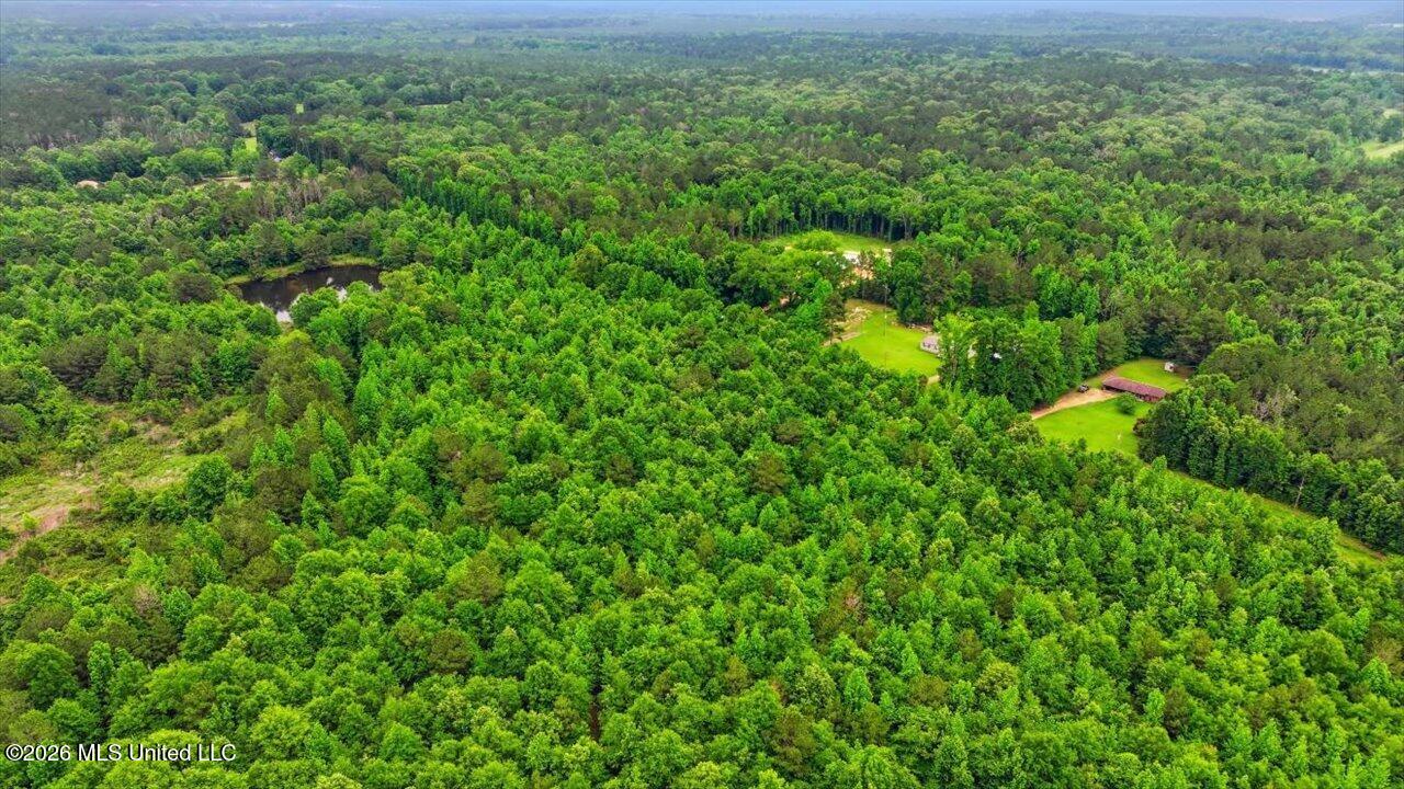 Shell Oil Road Property Photo 14