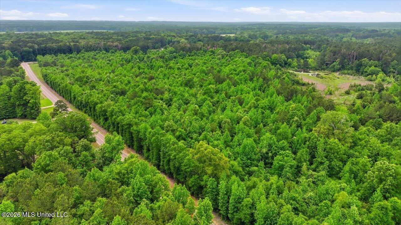 Shell Oil Road Property Photo 19