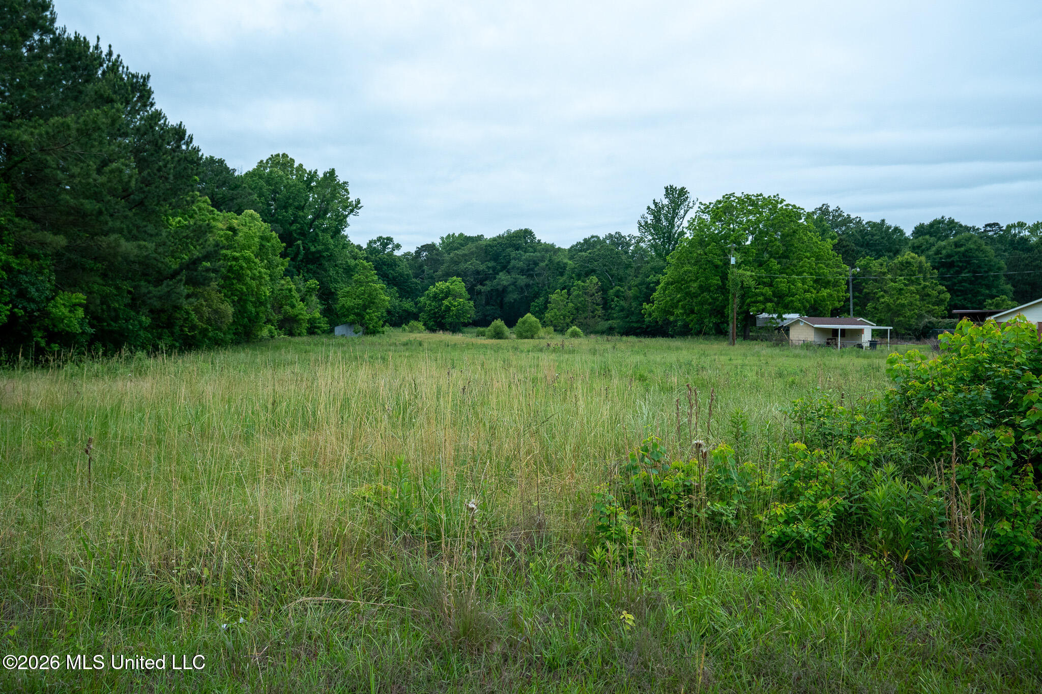 3160 Louis Wilson Drive Property Photo 8