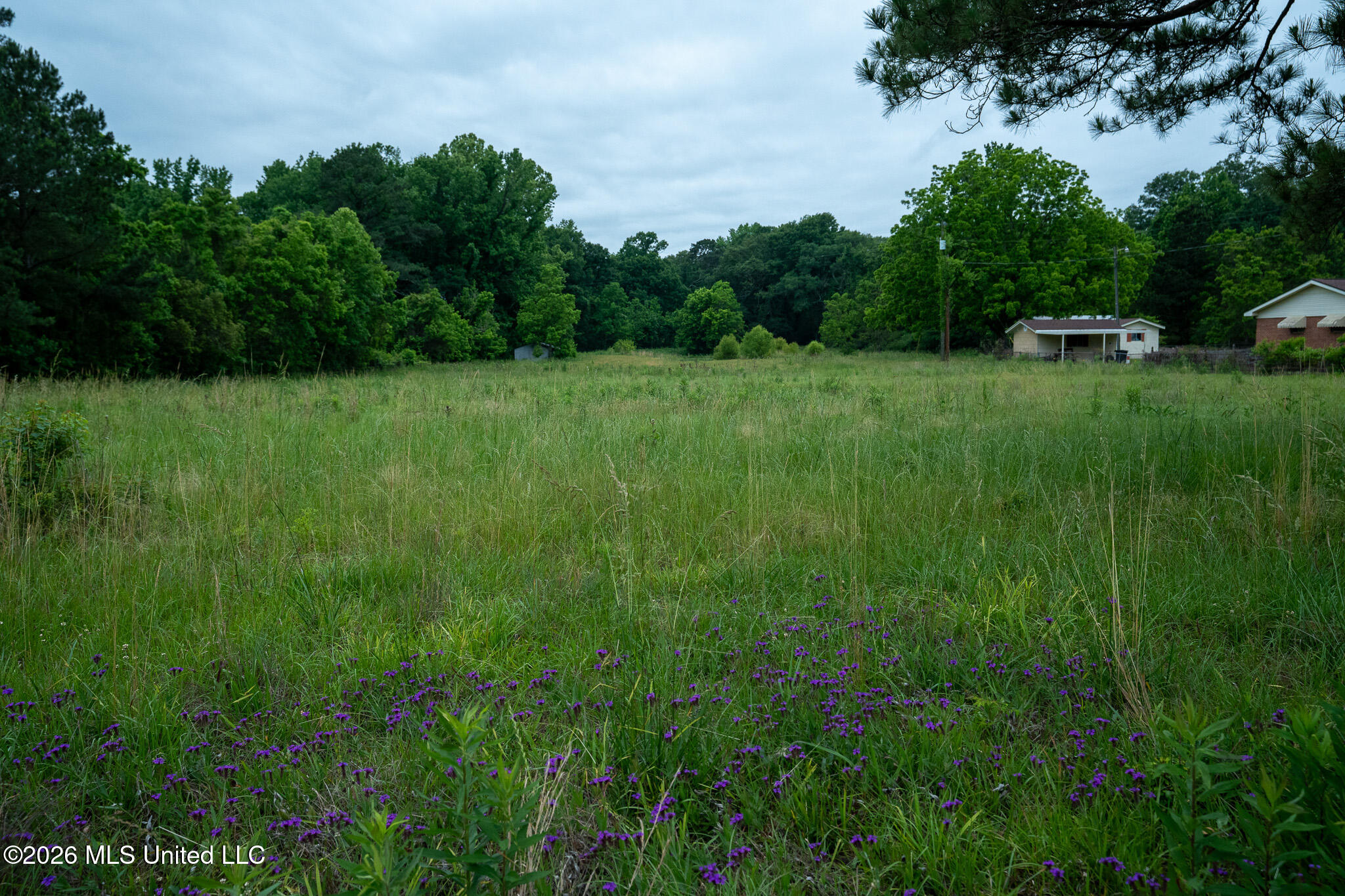 3160 Louis Wilson Drive Property Photo 9