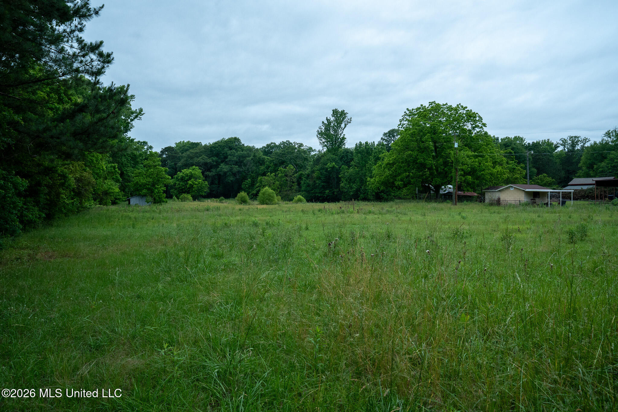3160 Louis Wilson Drive Property Photo 14