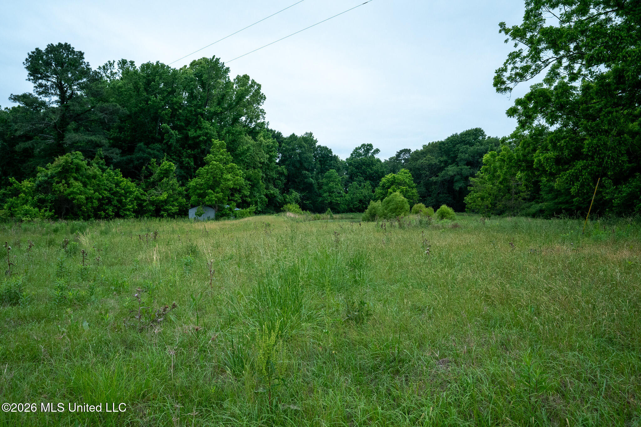 3160 Louis Wilson Drive Property Photo 15