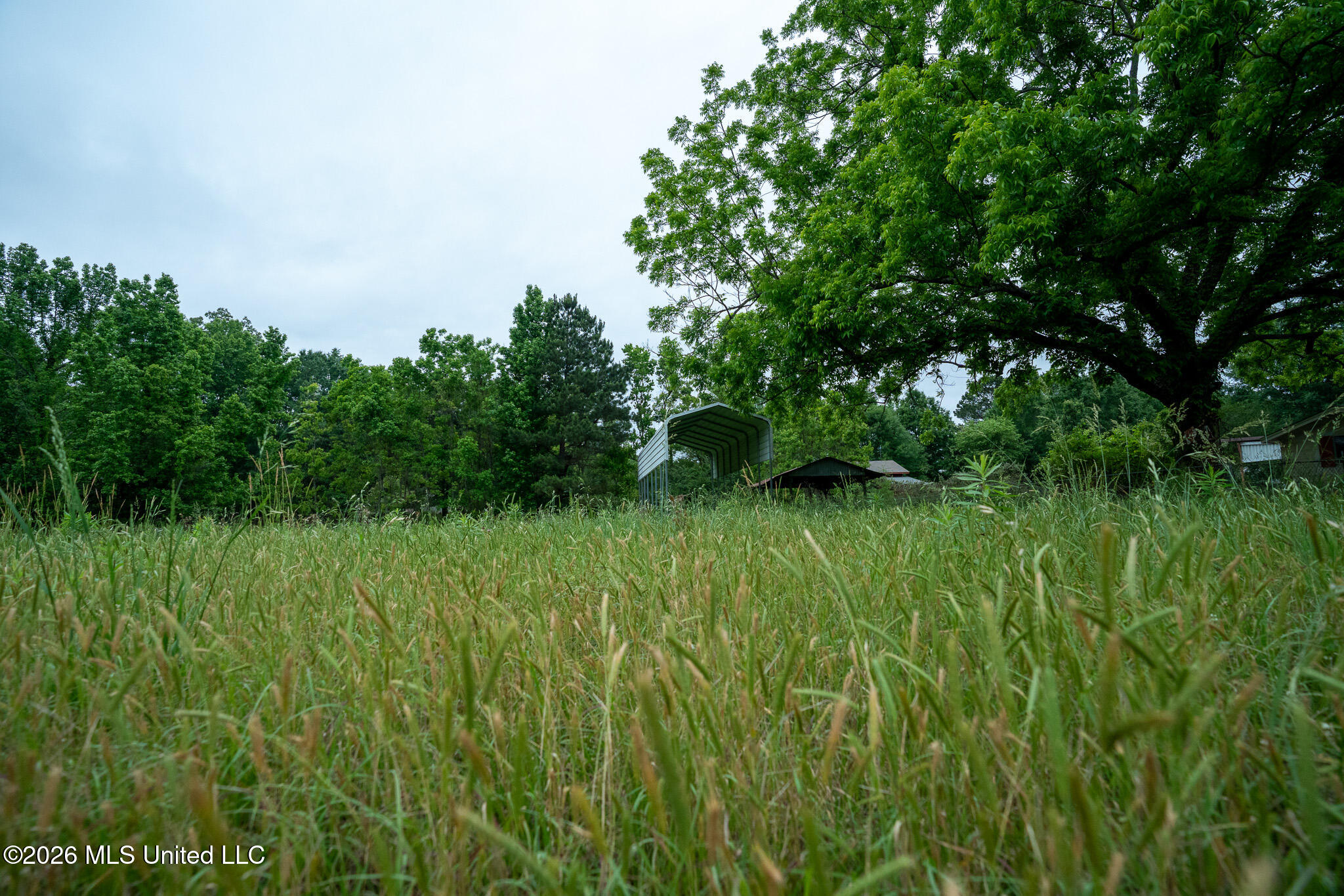 3160 Louis Wilson Drive Property Photo 16