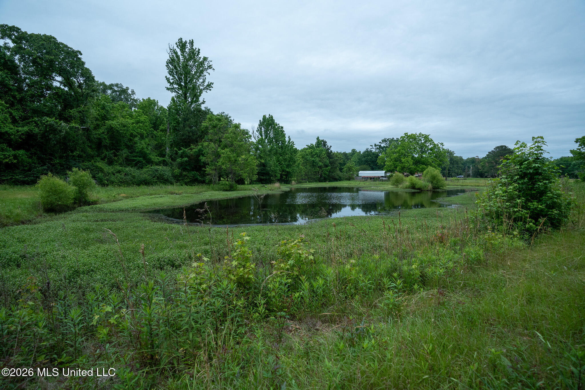 3160 Louis Wilson Drive Property Photo 17