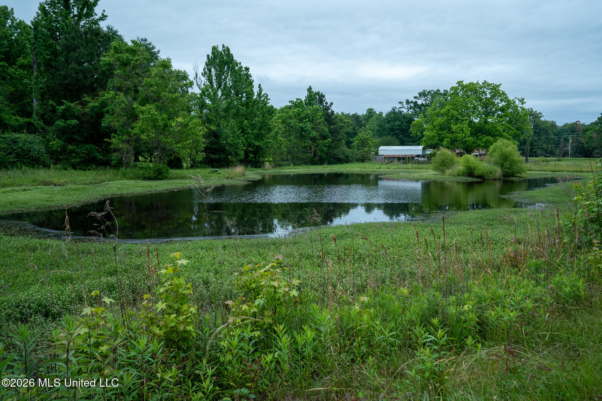 3160 Louis Wilson Drive Property Photo 18