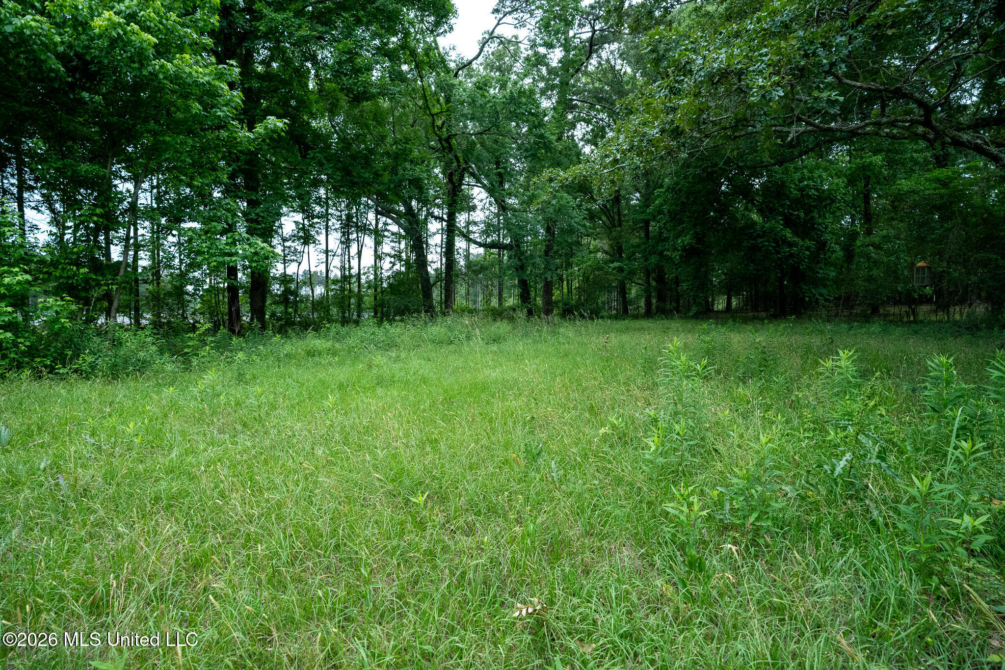 3160 Louis Wilson Drive Property Photo 19