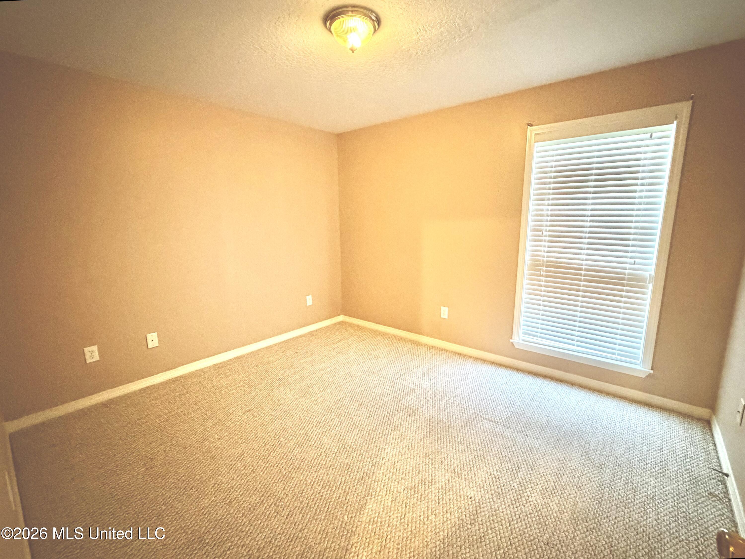 6902 Tanner Williams Road Property Photo 34
