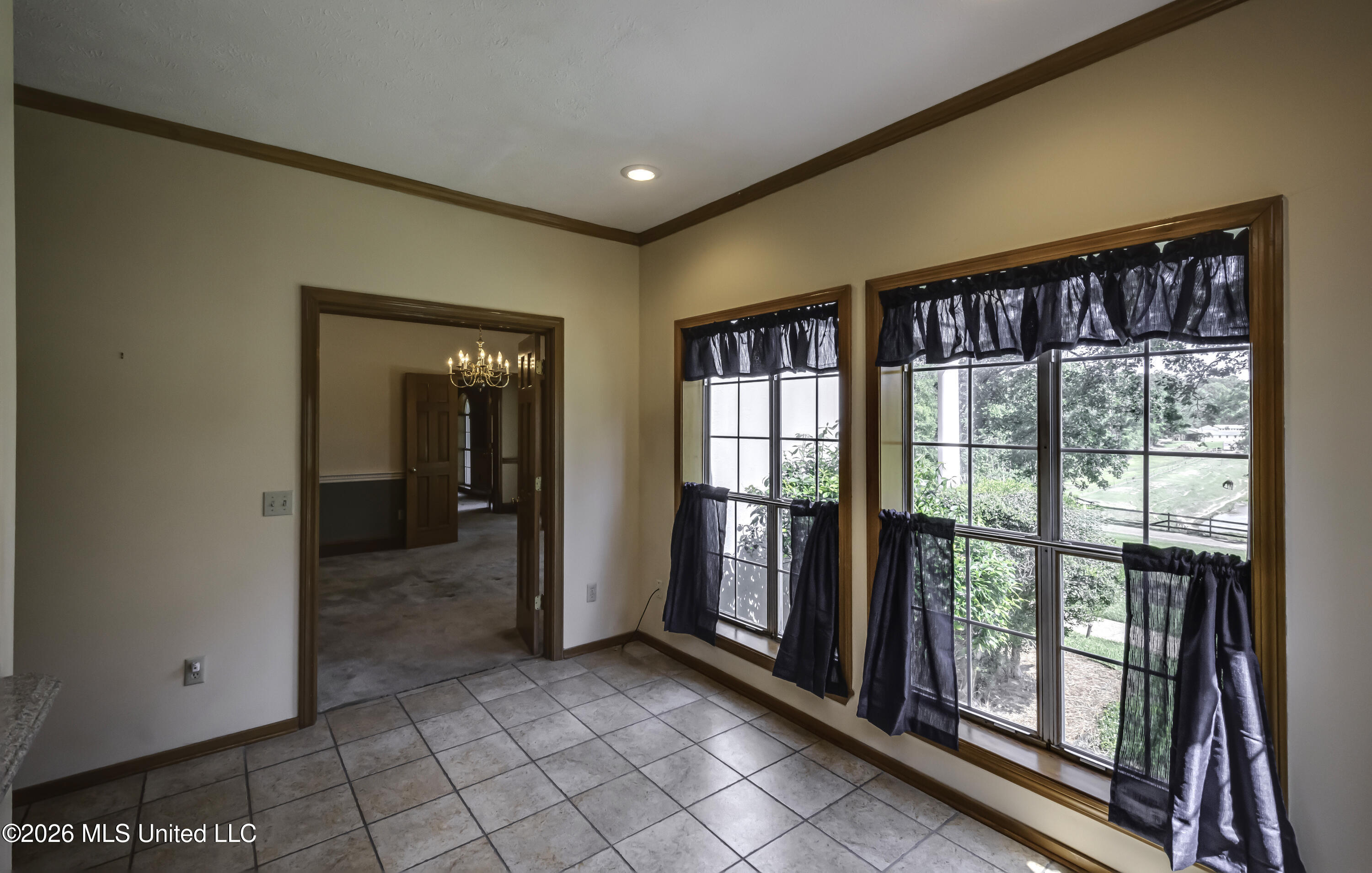 100 Chance Cove Property Photo 34