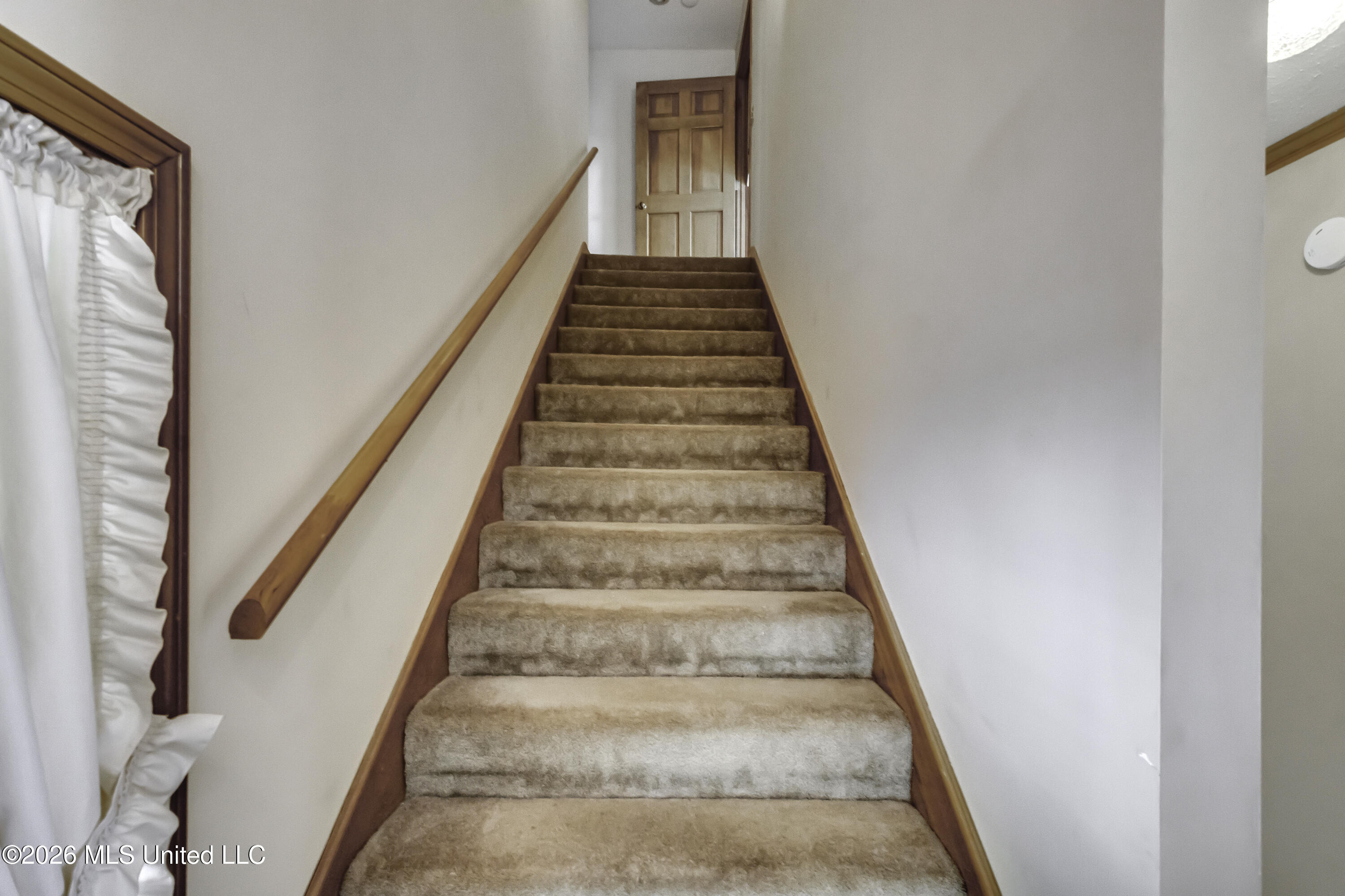 100 Chance Cove Property Photo 55