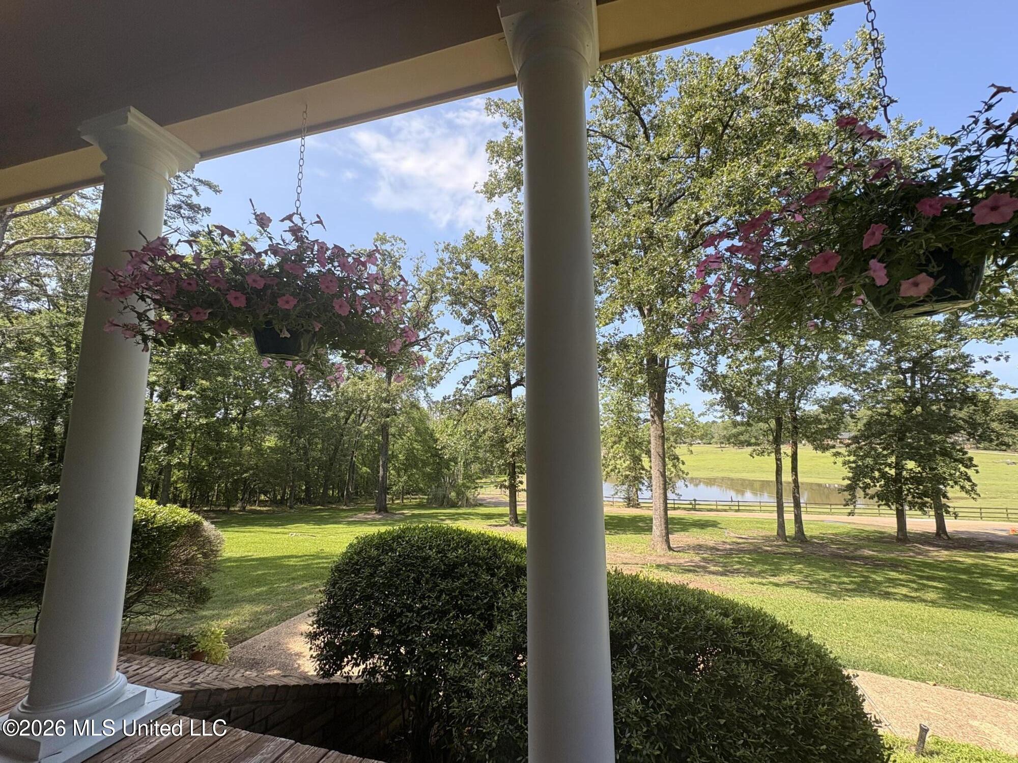 100 Chance Cove Property Photo 84