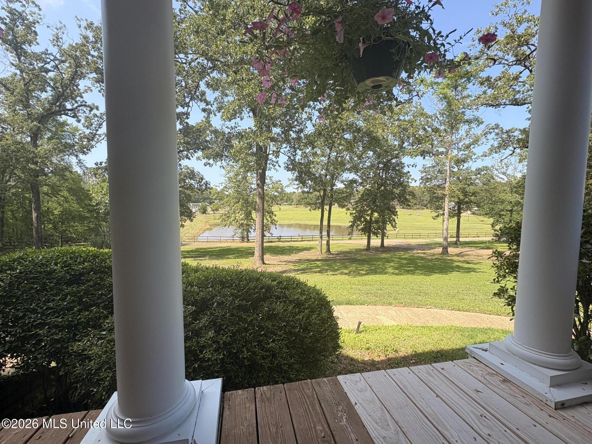 100 Chance Cove Property Photo 85