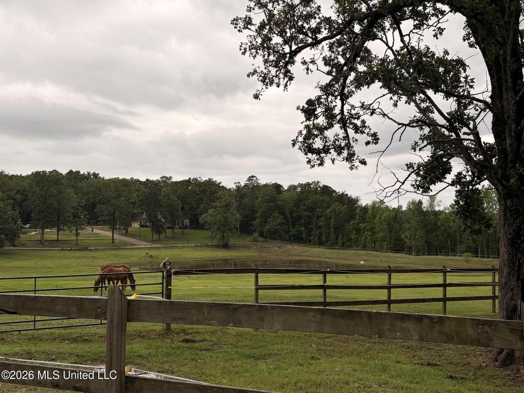 100 Chance Cove Property Photo 94