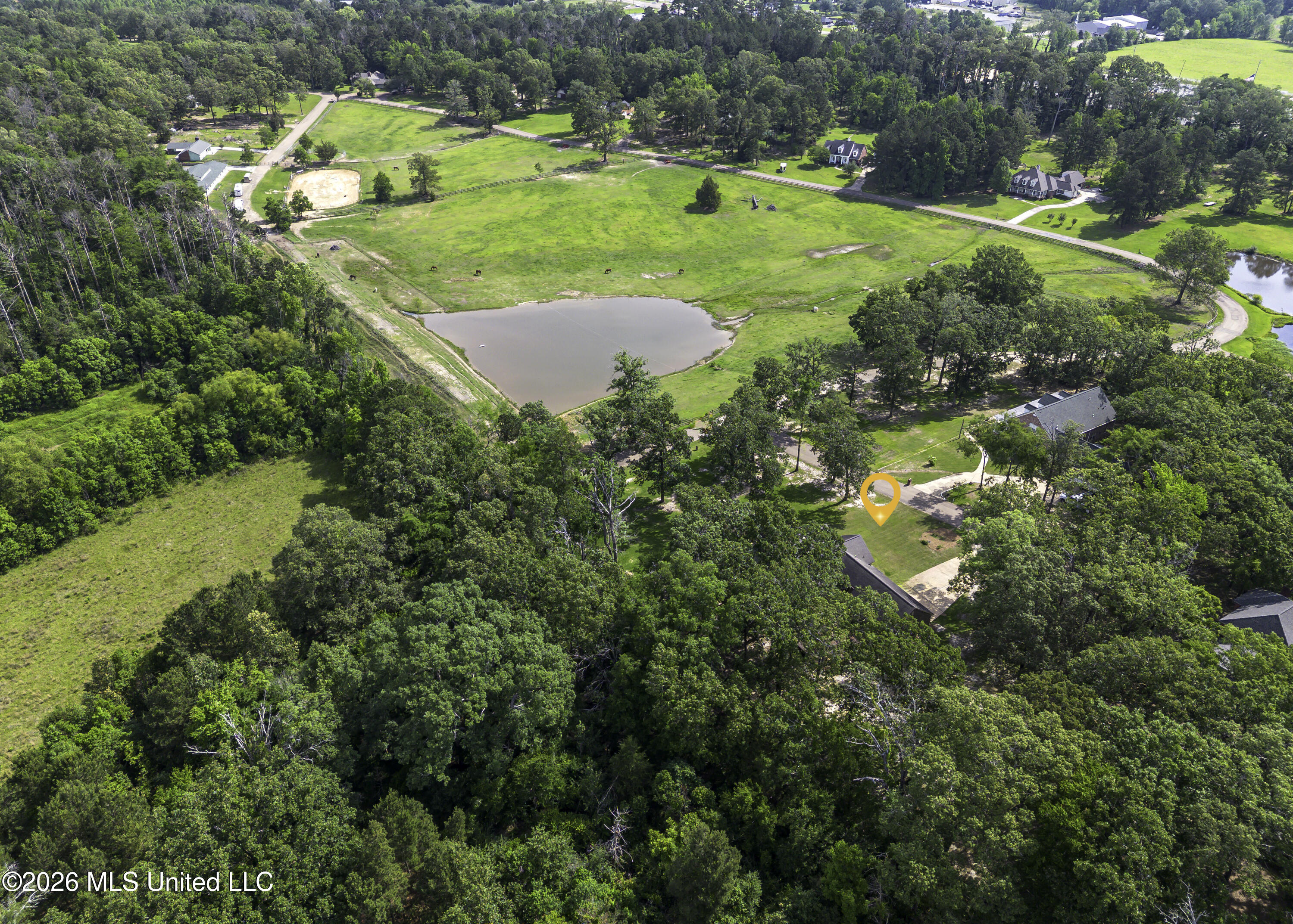 100 Chance Cove Property Photo 98