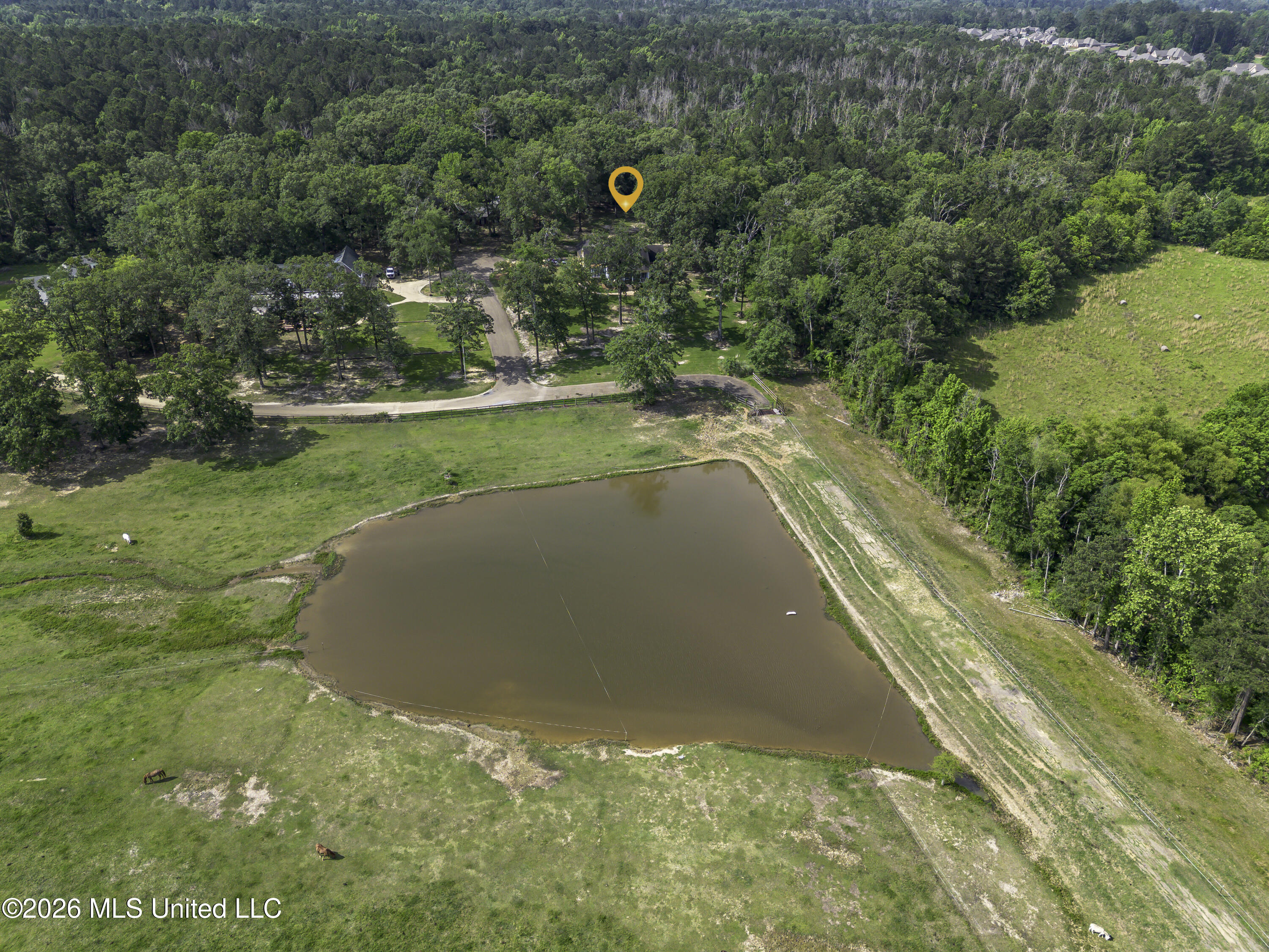 100 Chance Cove Property Photo 102